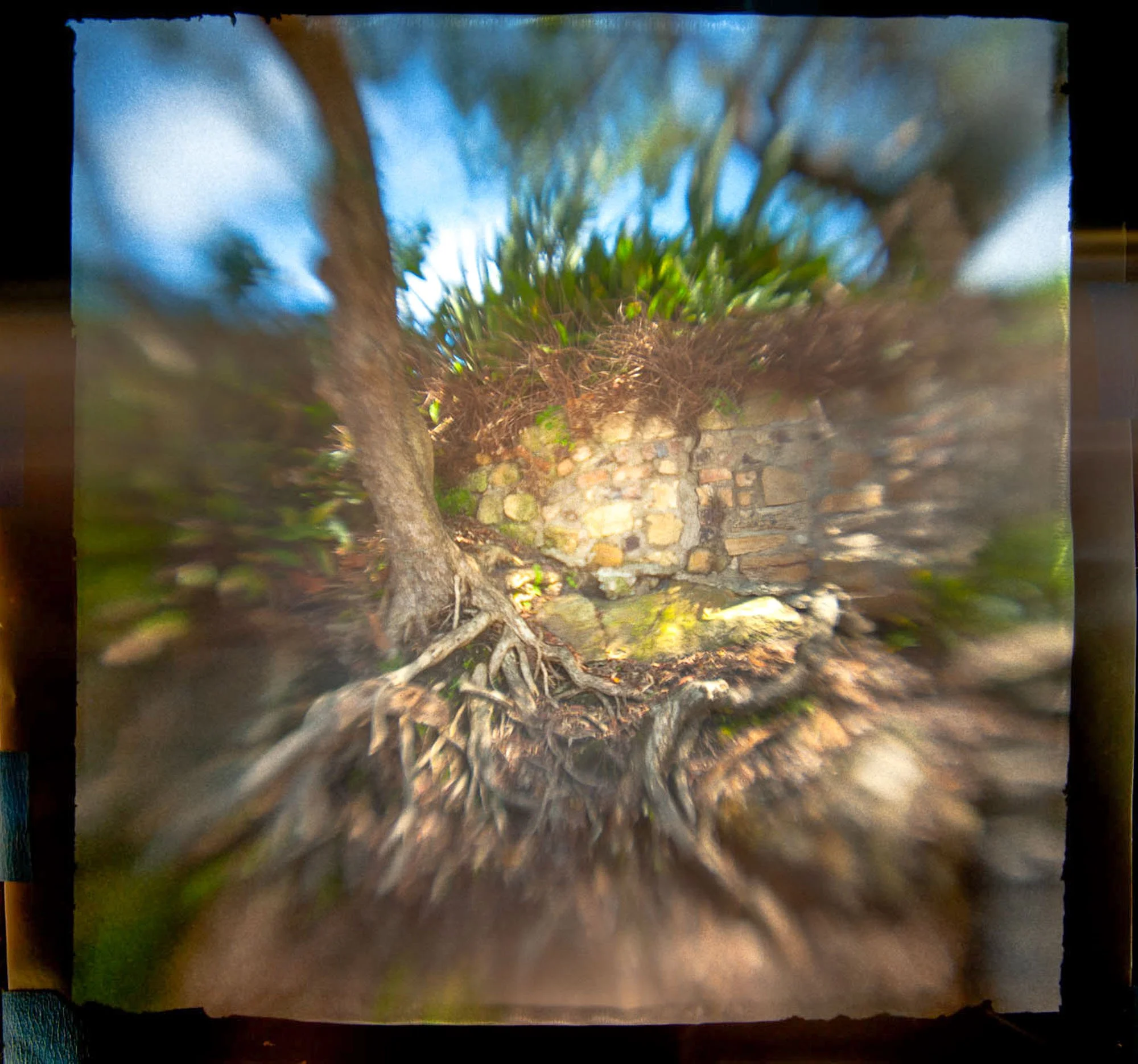 Obscura for Strathnairn-DSC_5299.jpg