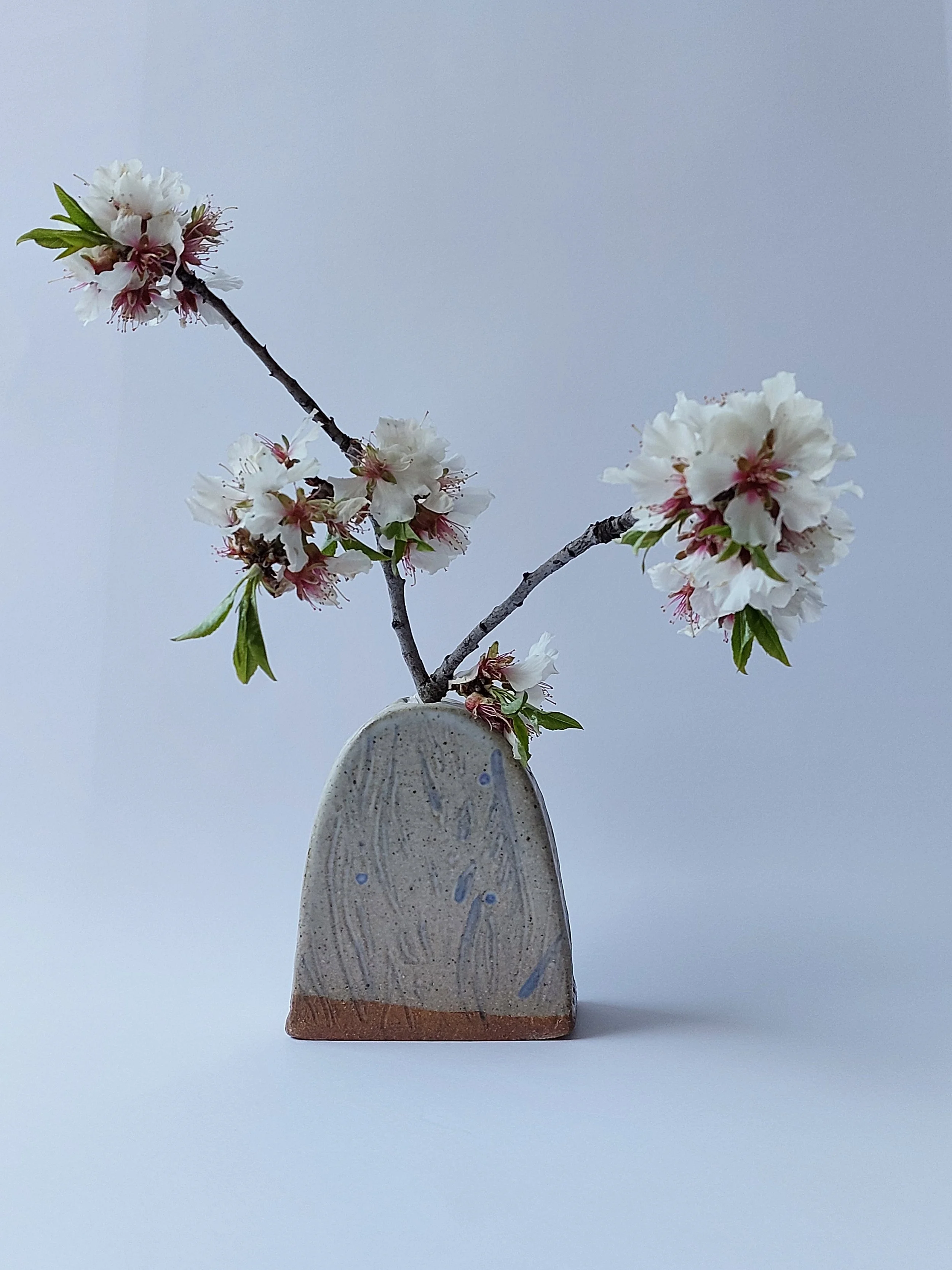 Artist Inge Zeilinger