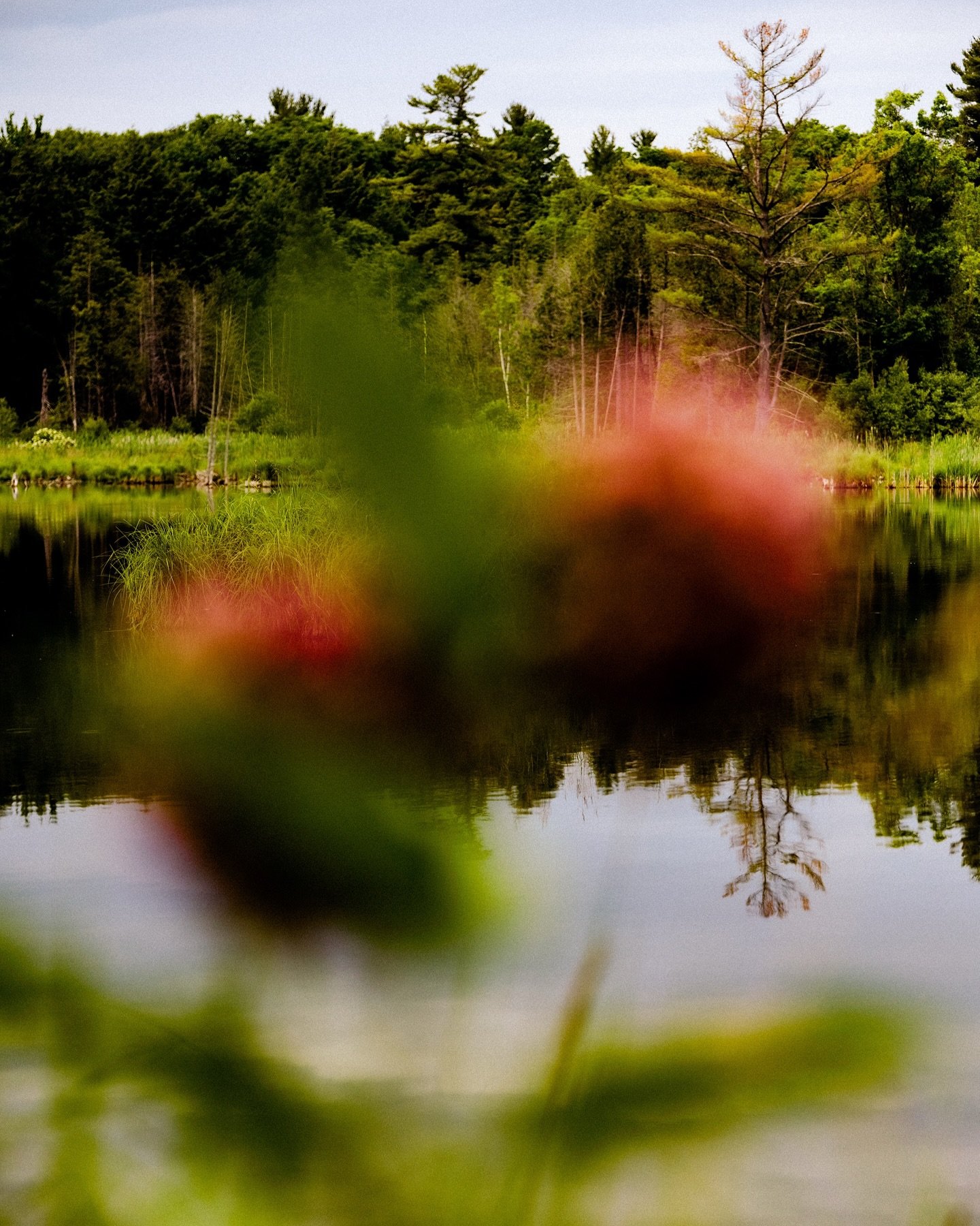Some snippets from our travels around Ontario. Mostly plants and sunlight. A sweet week