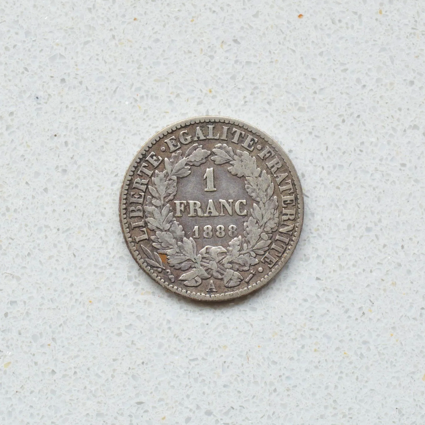 DSC_0629.png