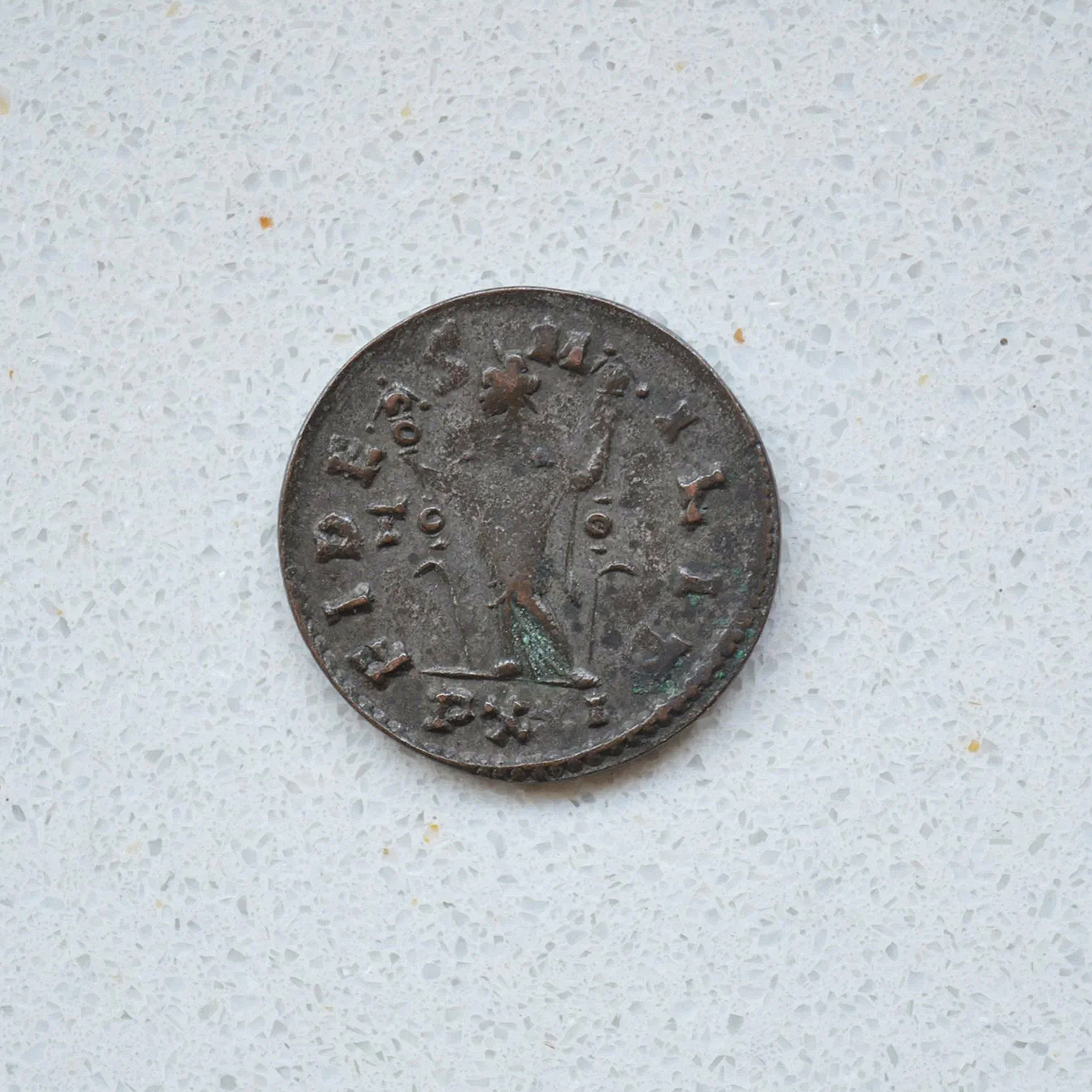 DSC_0370.png