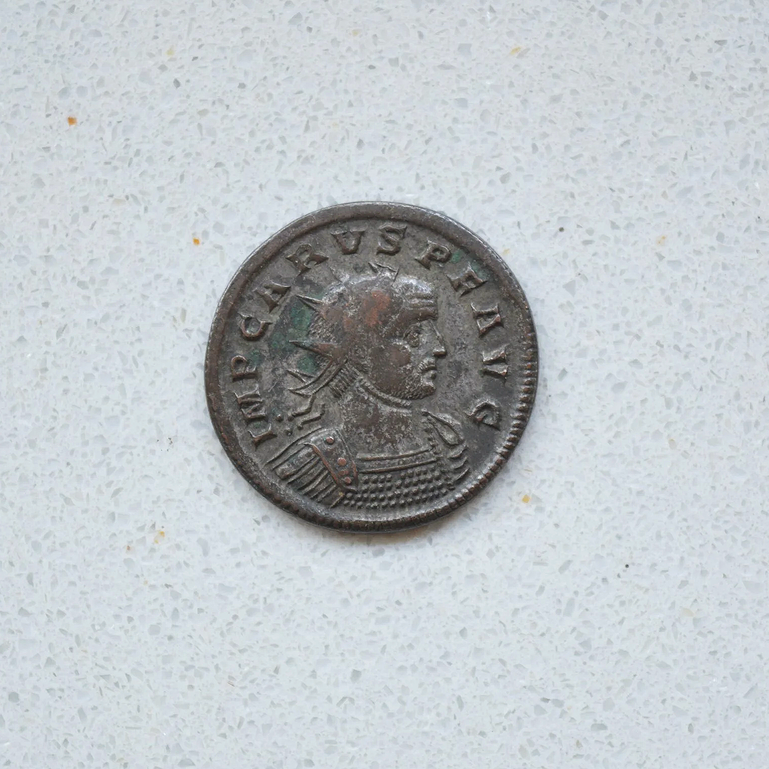 DSC_0369.png