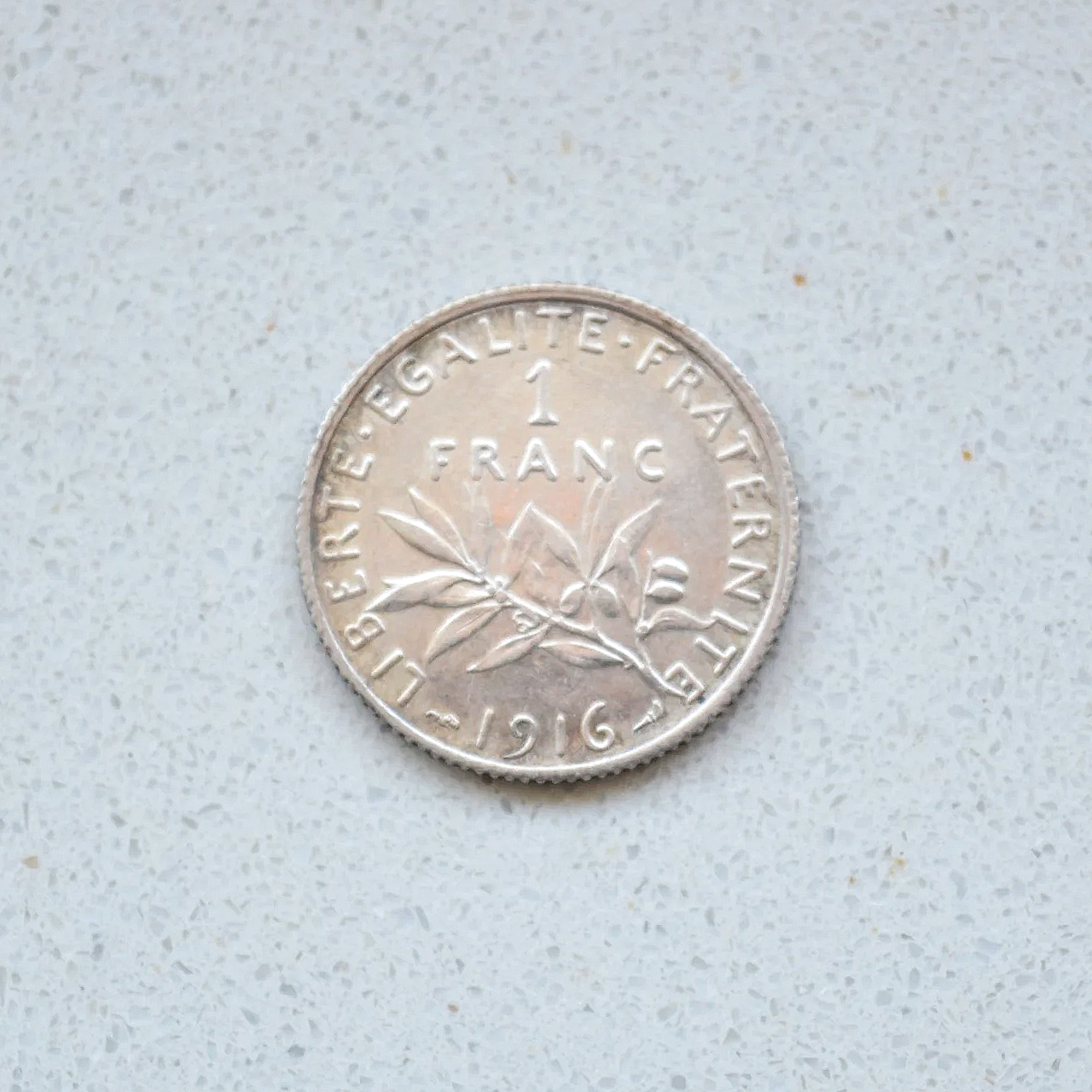 DSC_0753.png