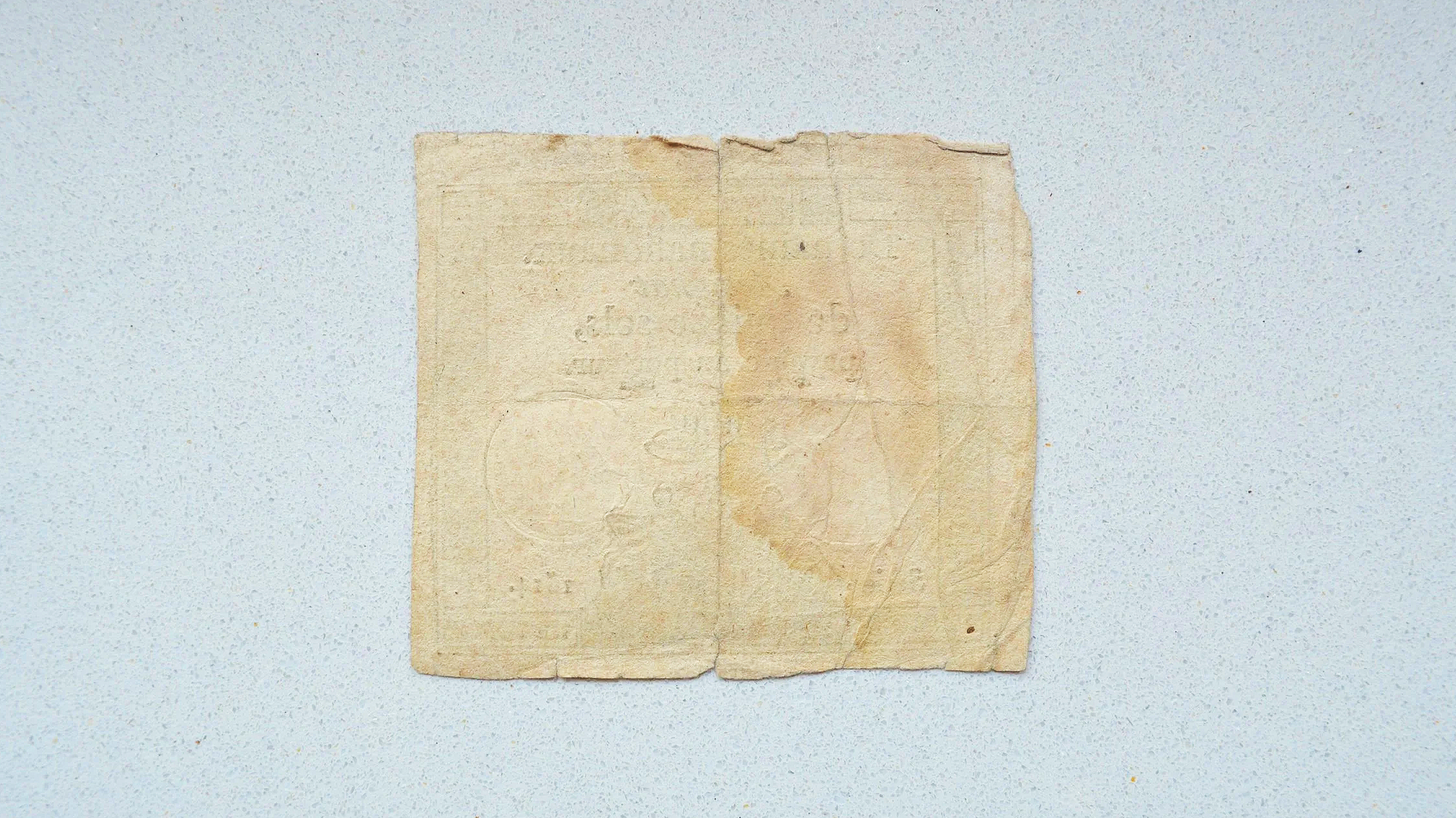 DSC_0437.png