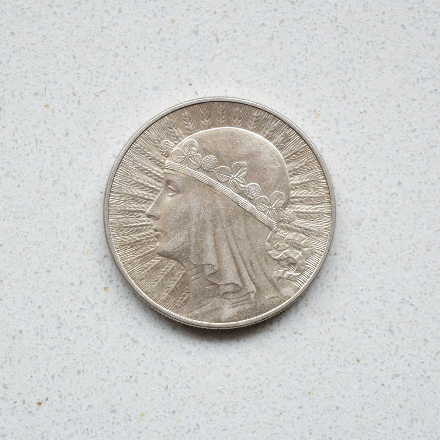 DSC_0797.png