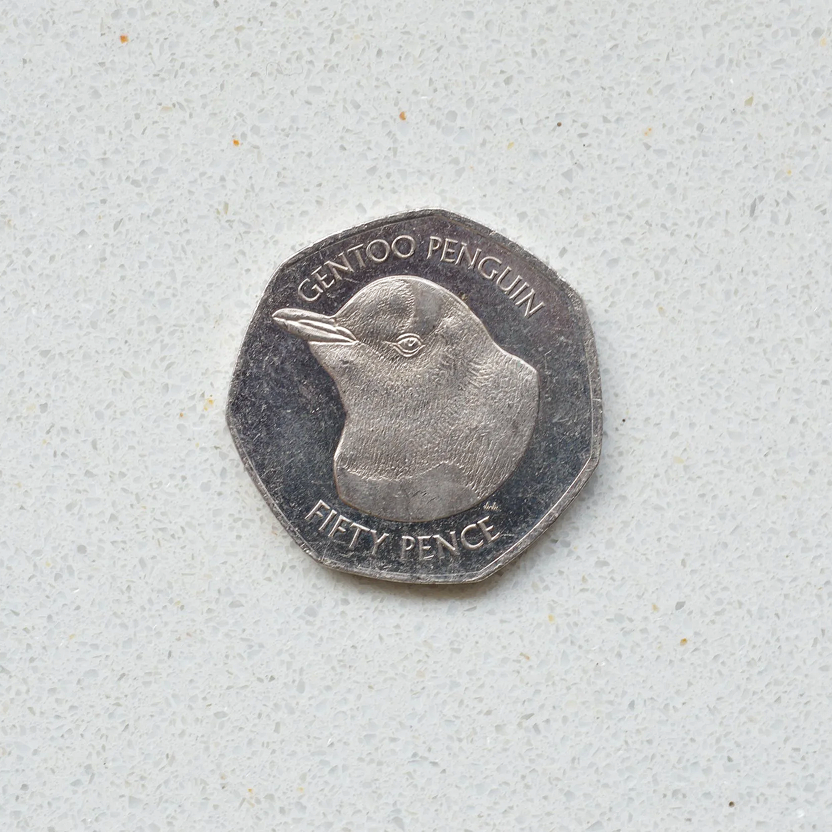 DSC_0736.png