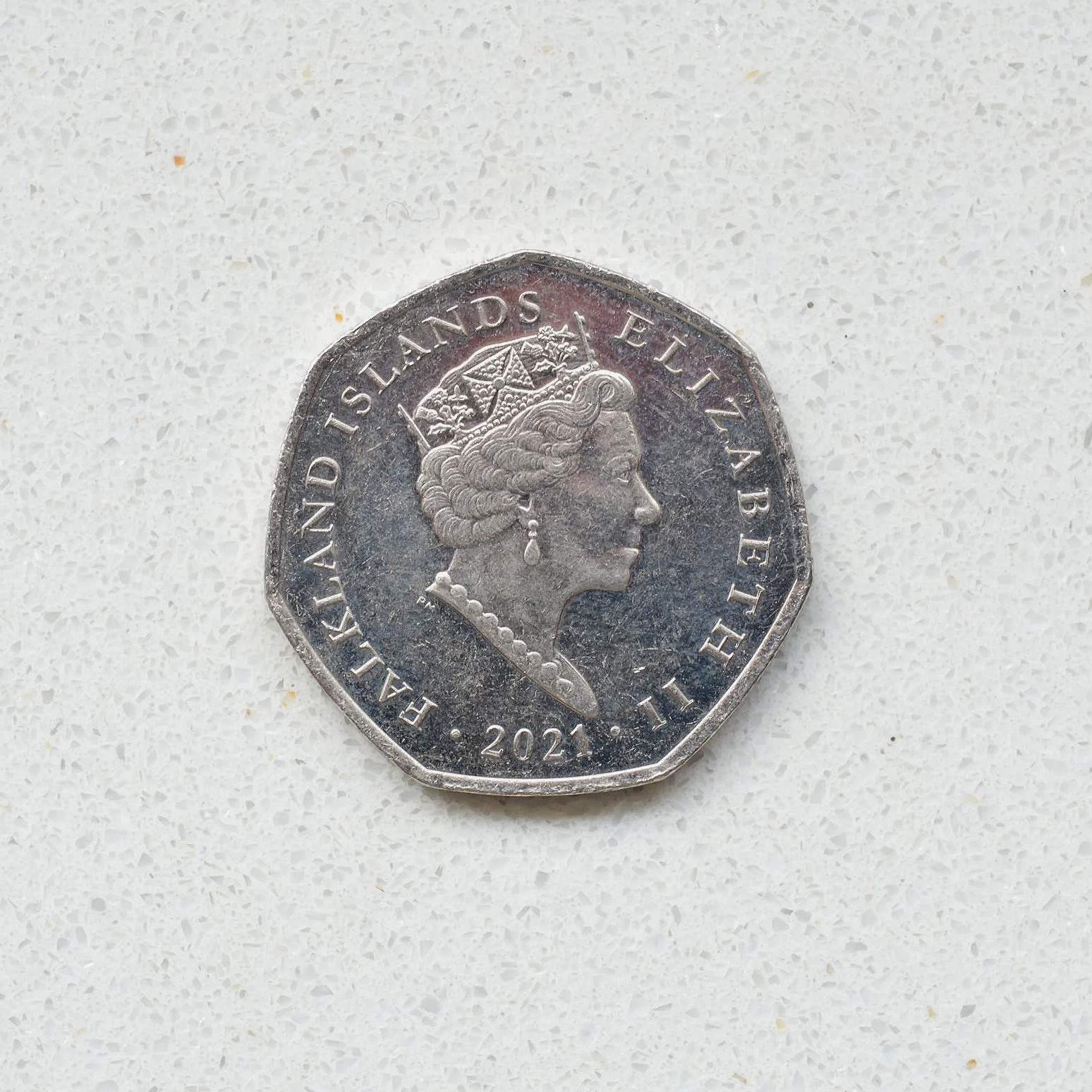 DSC_0737.png