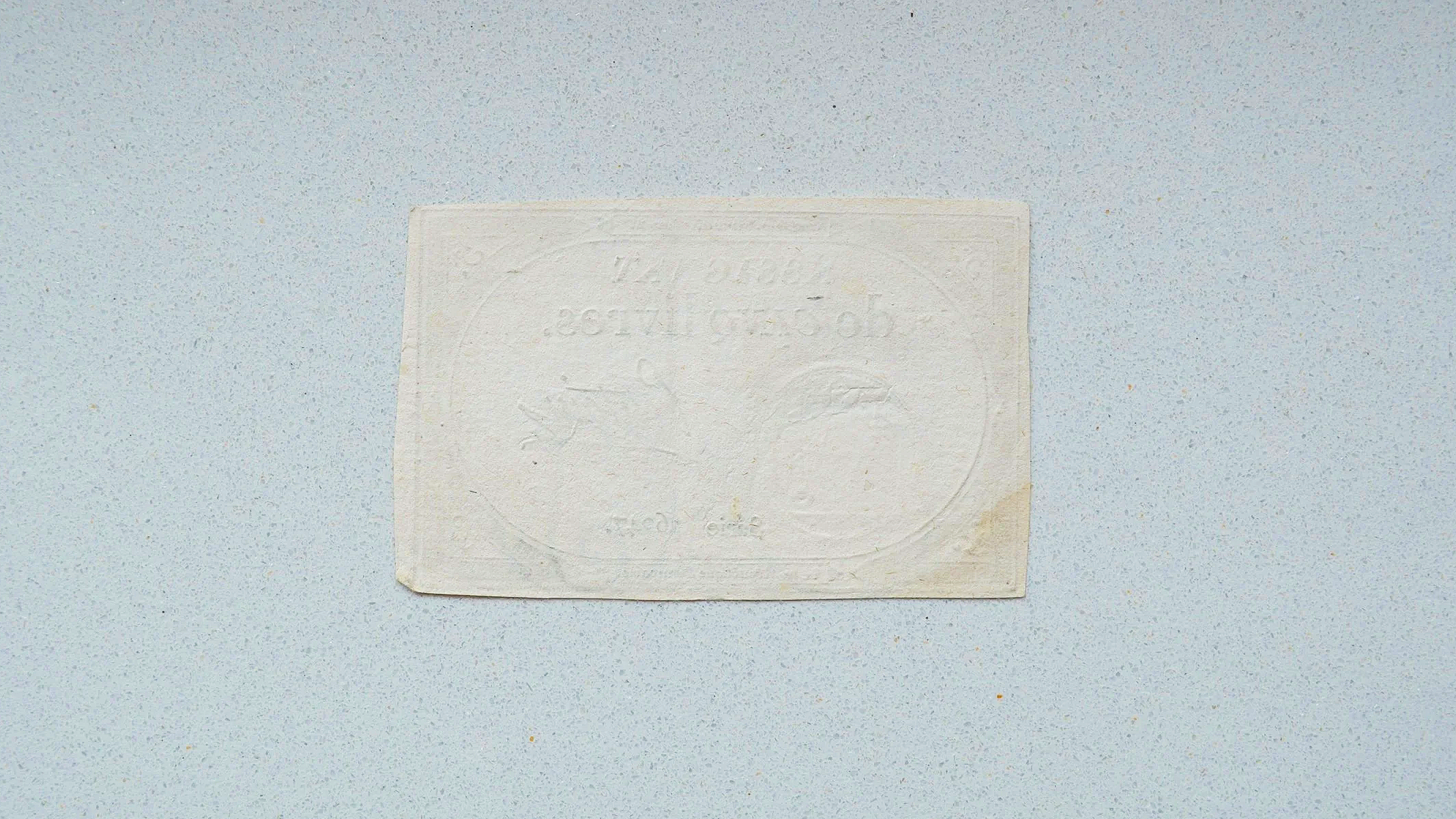 DSC_0431.png