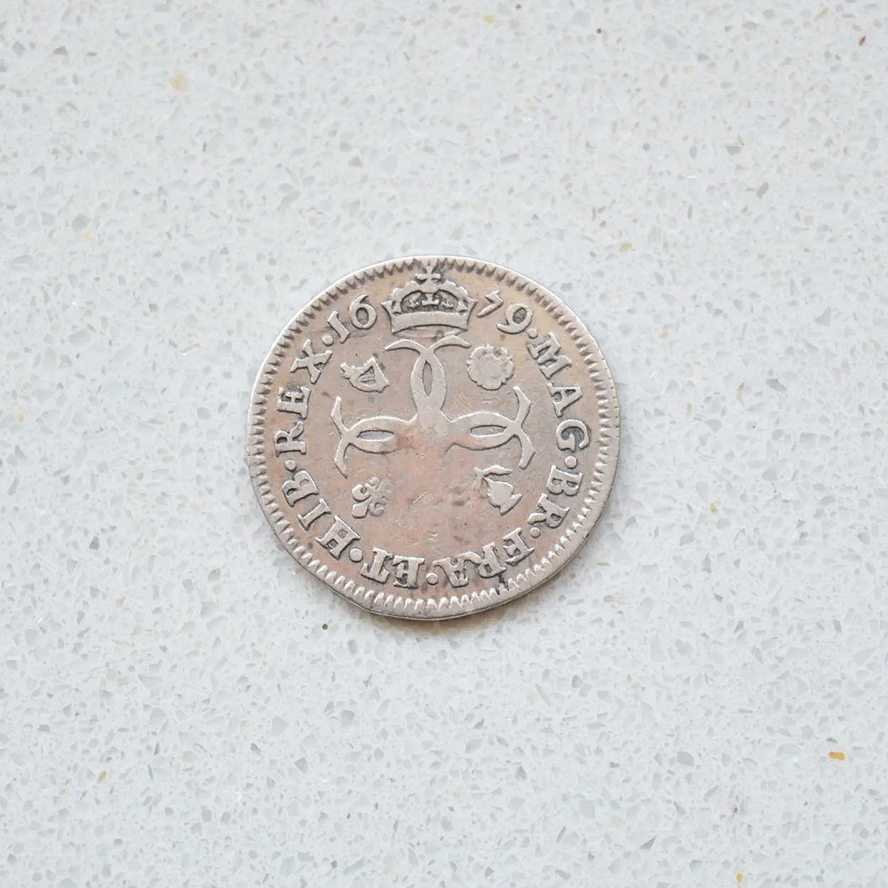 DSC_0685.png