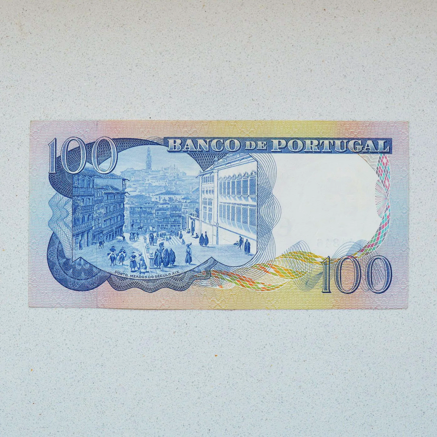 DSC_0731.png