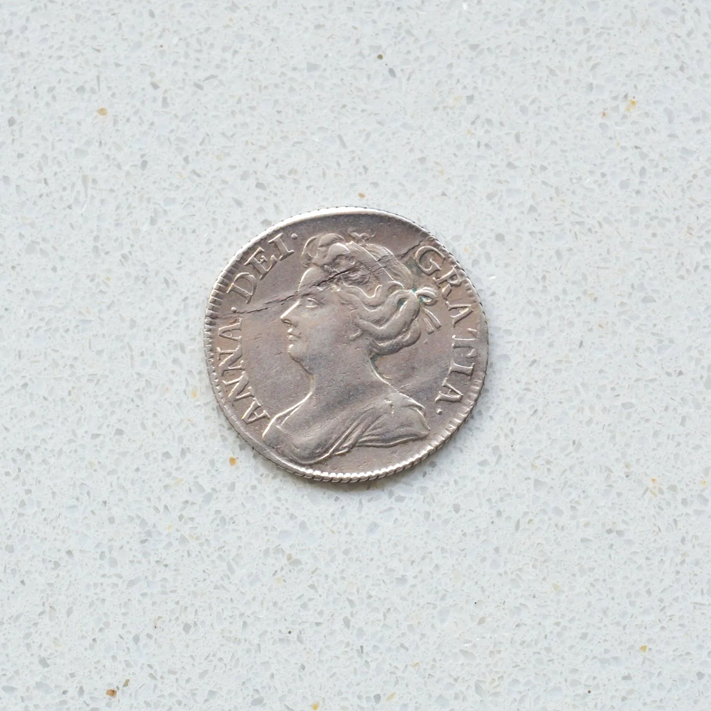 DSC_0647.png