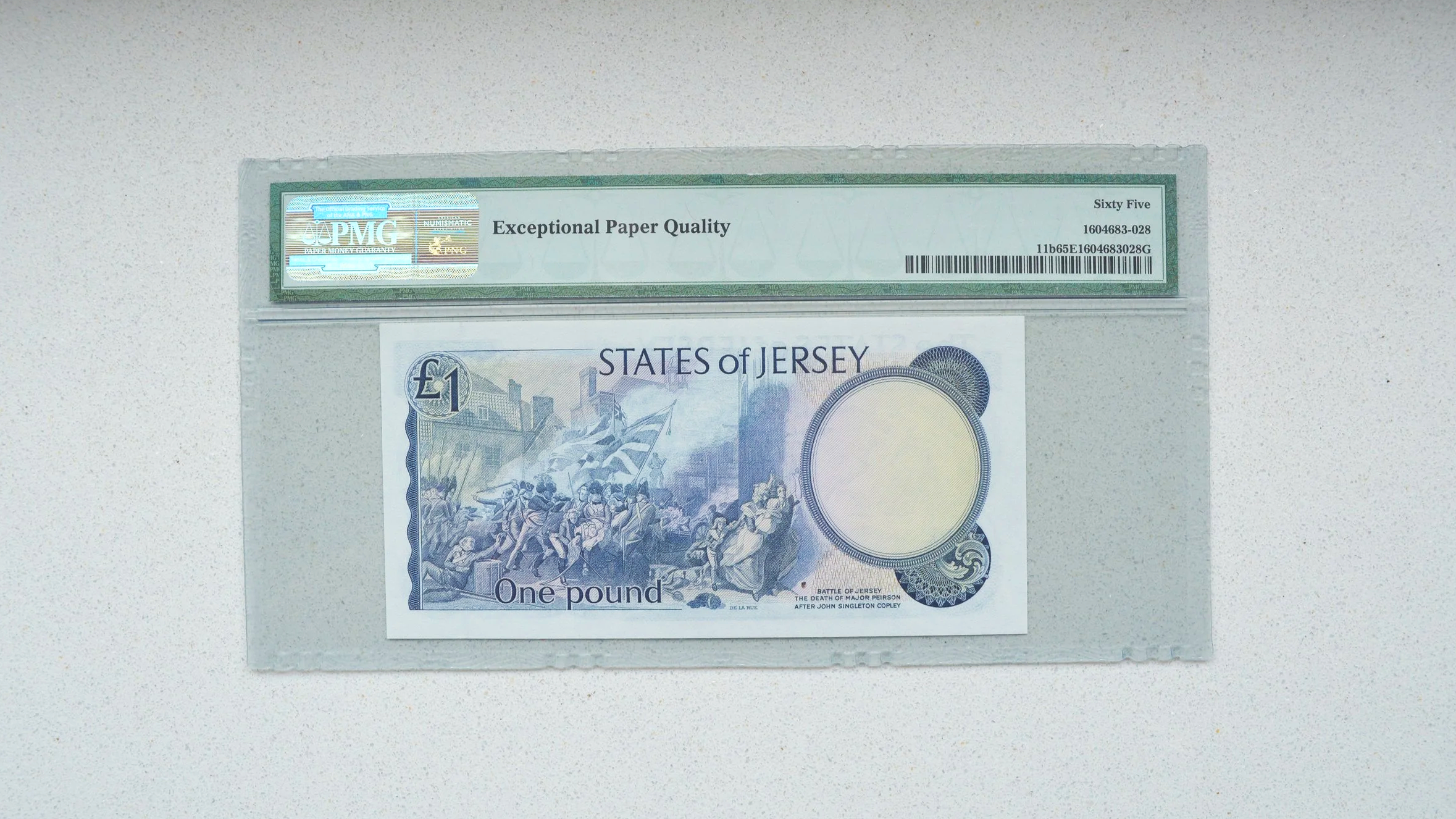 DSC_0500.png