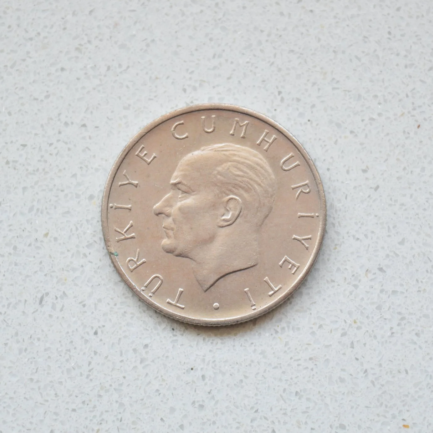DSC_0686.png