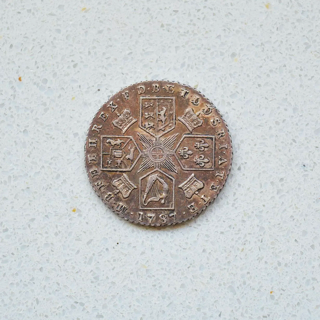 DSC_0697.png