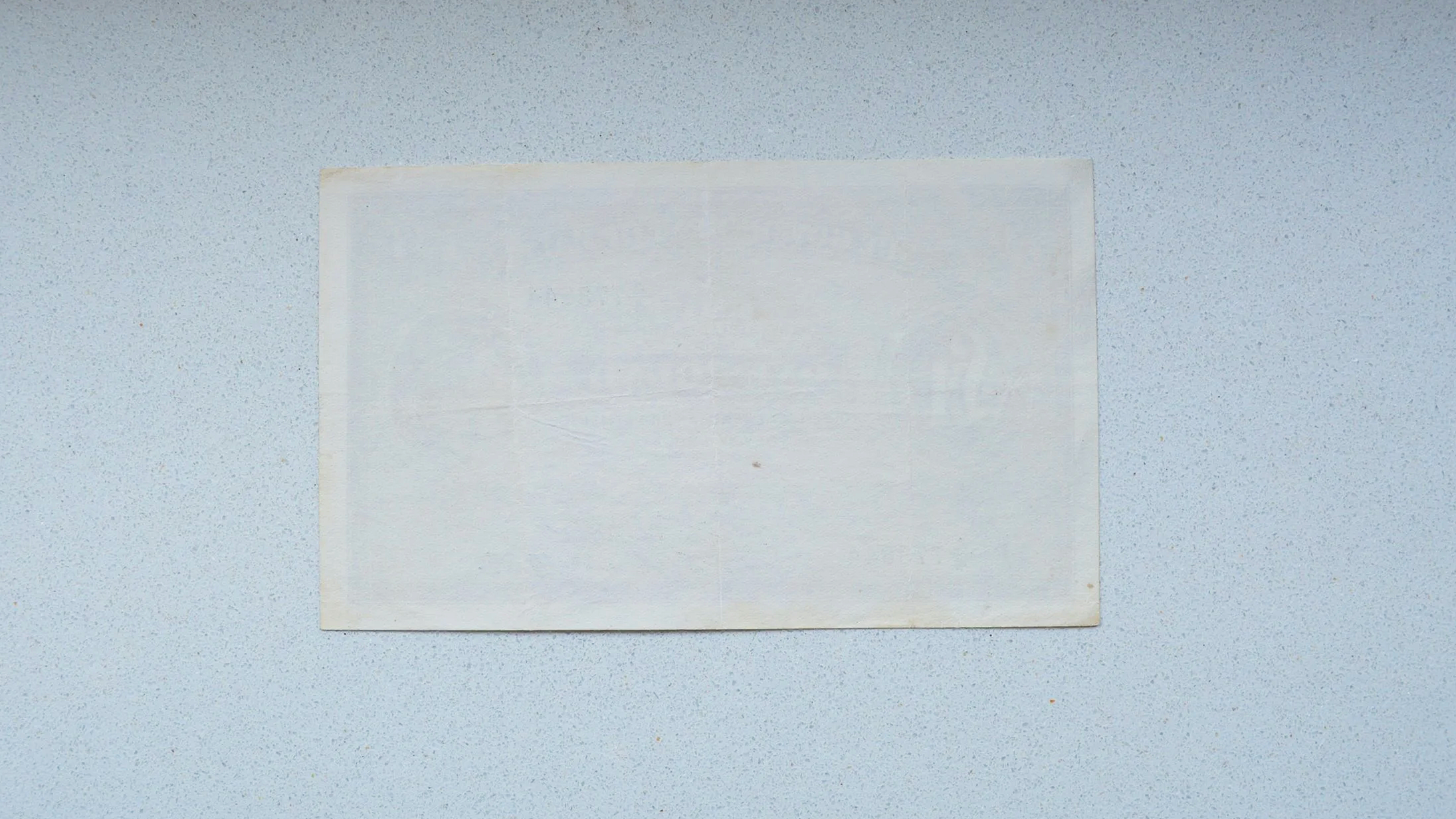 DSC_0733.png