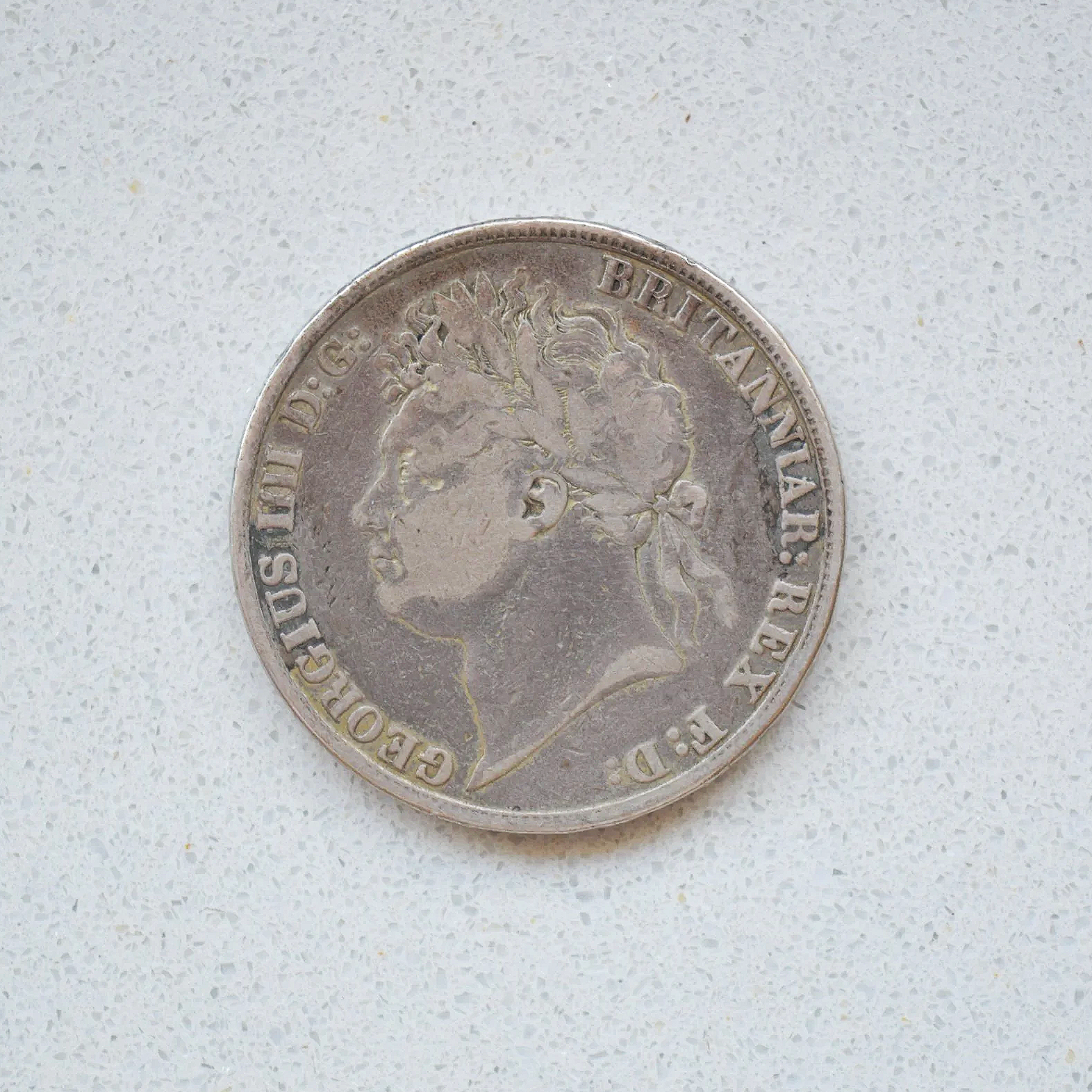 DSC_0364.png