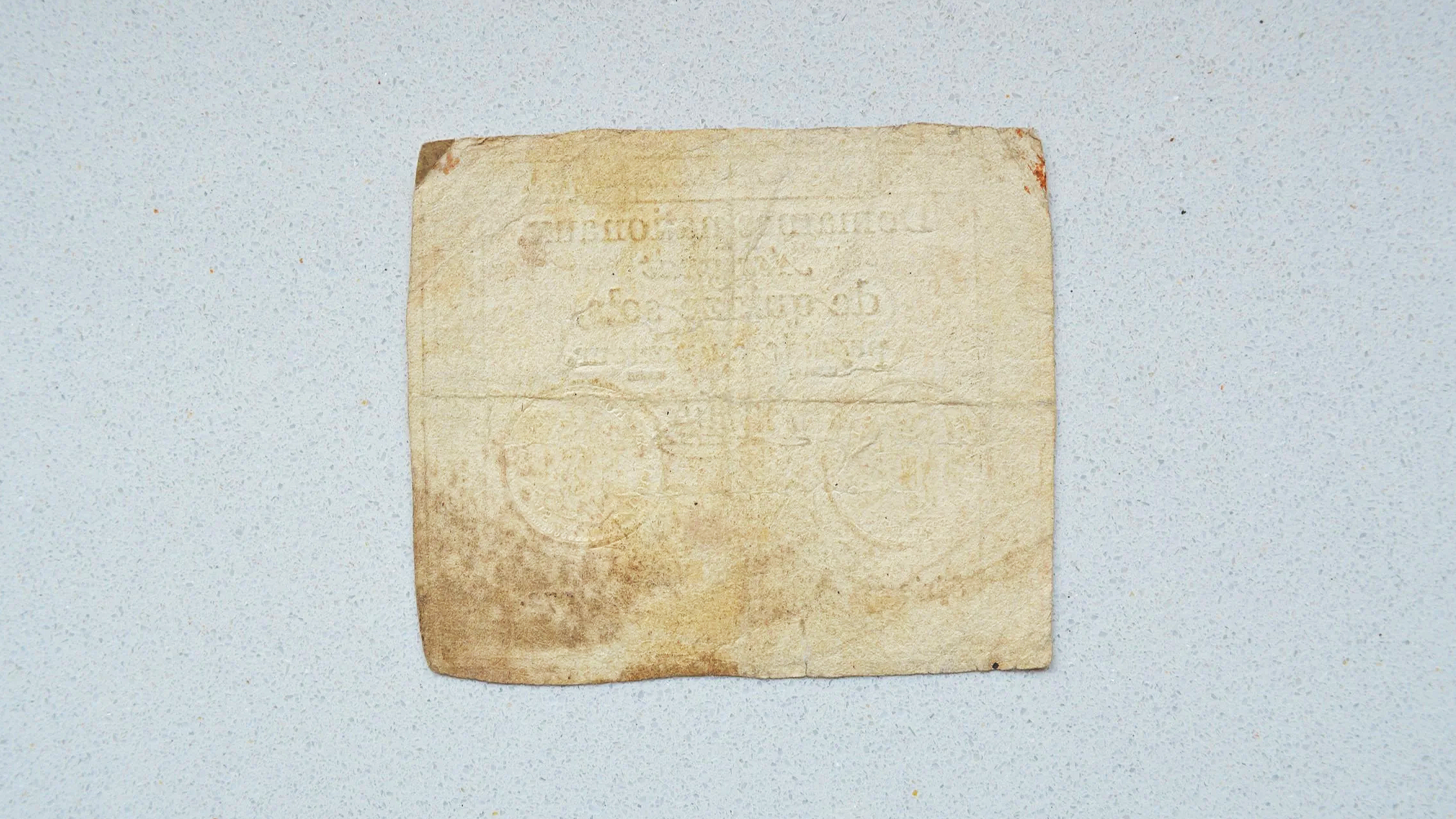 DSC_0435.png