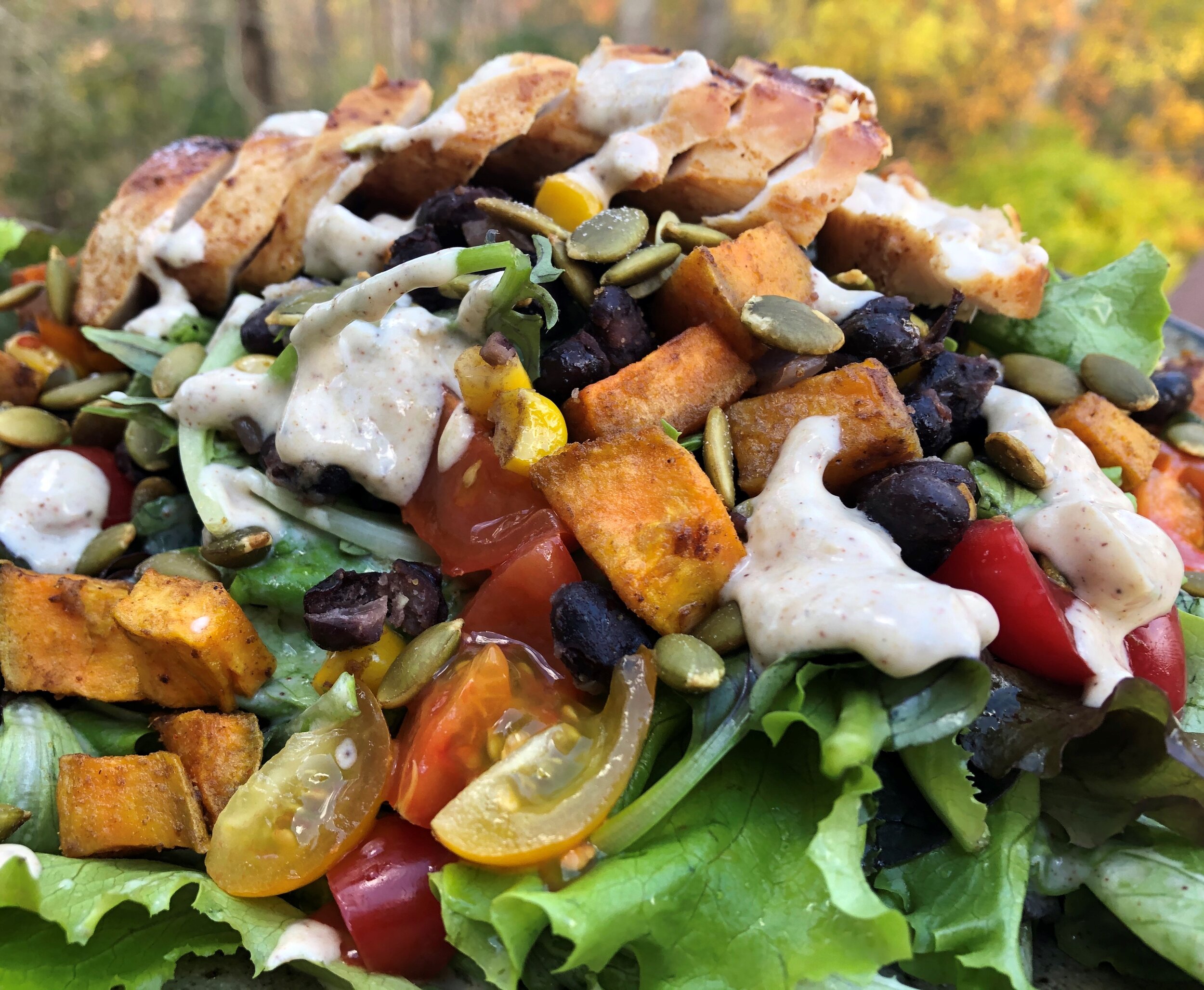 Chipotle Lime Chicken and Sweet Potato Salad