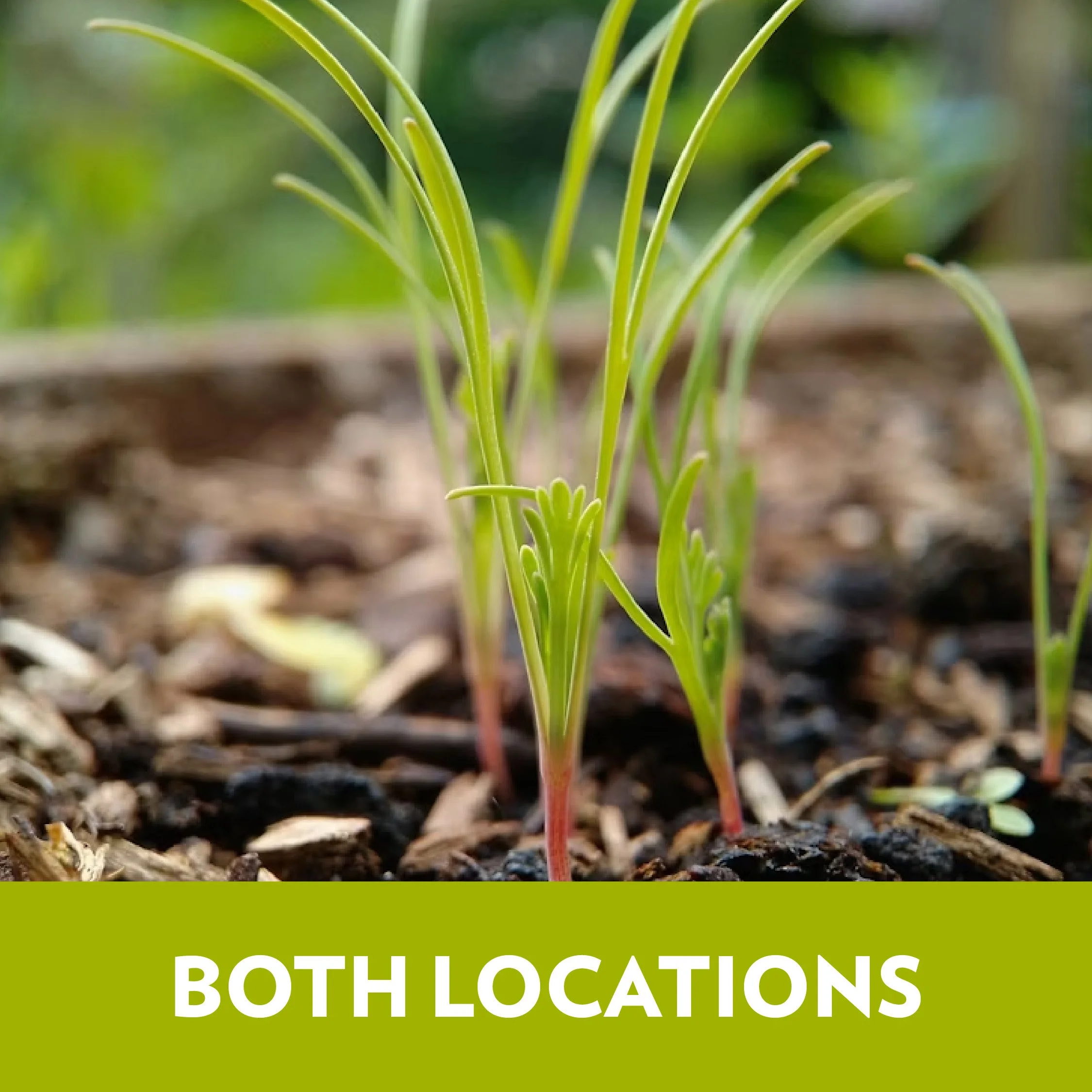 Spring Open House | Both Locations