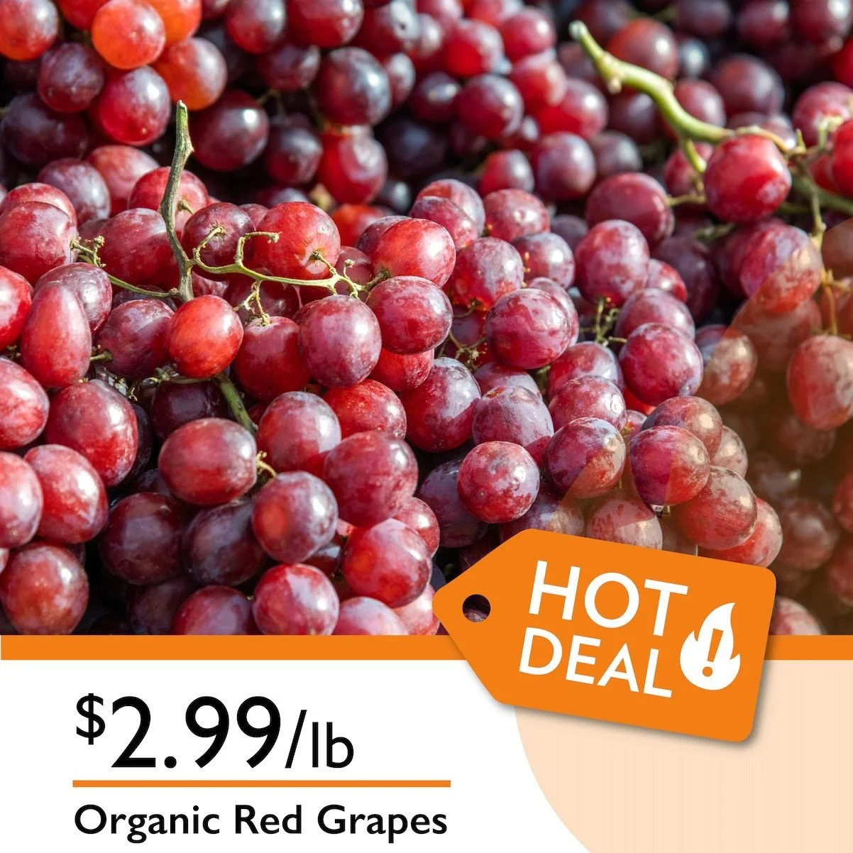 Organic Red Grapes for only $1.99/lb 🍇✨
Now over 50% OFF!!! the perfect time to stock up and save big.

Sweet, crisp, and incredibly juicy, they&rsquo;re a refreshing grab-and-go snack. Don&rsquo;t miss this fresh, delicious deal!