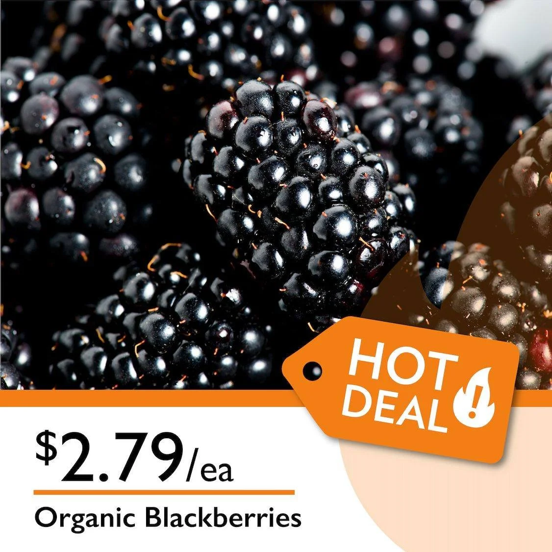 Organic Blackberries just $2.79 each!!
Sweet, juicy, and packed with fresh flavor. Perfect for snacking, smoothies, desserts, yogurt bowls, or adding a fresh touch to your favorite recipes. Fresh and delicious, grab yours before the sale ends June 2n