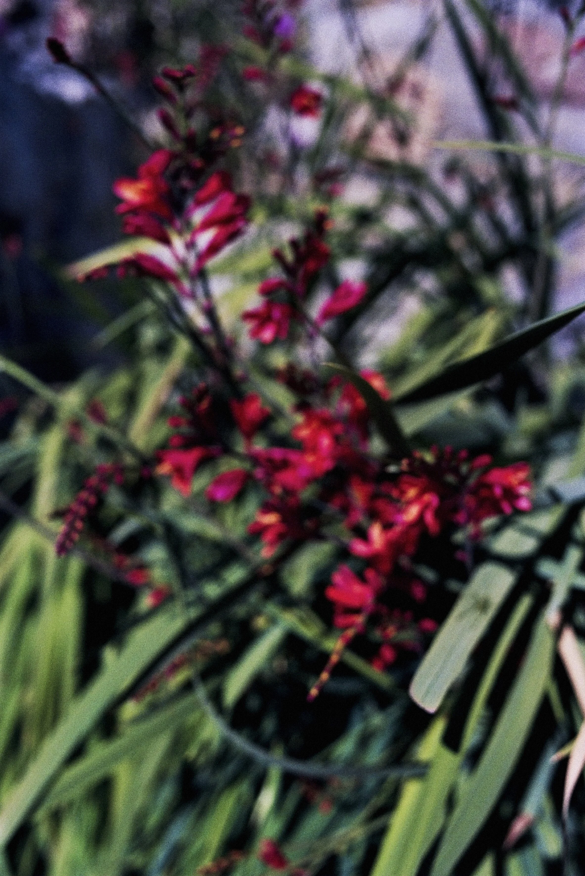 All this dust between you and me 2015 — ongoing  “All this dust between you and me” is a photography series studying one’s distancing from their environment due to mental health struggles. The captured out-of-focus scenes, ranging from delicate stil…