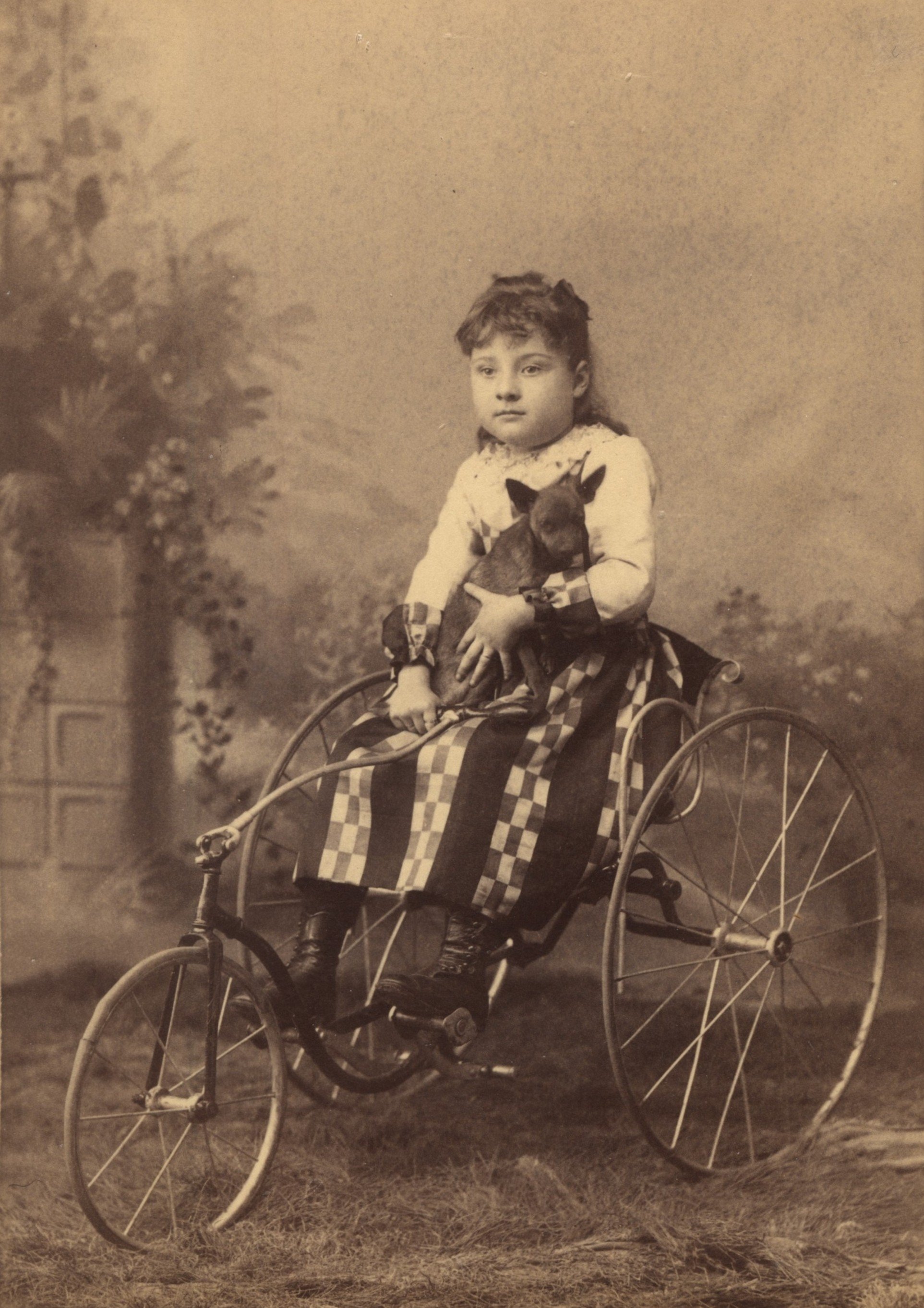 Girl with Fairy tricycle