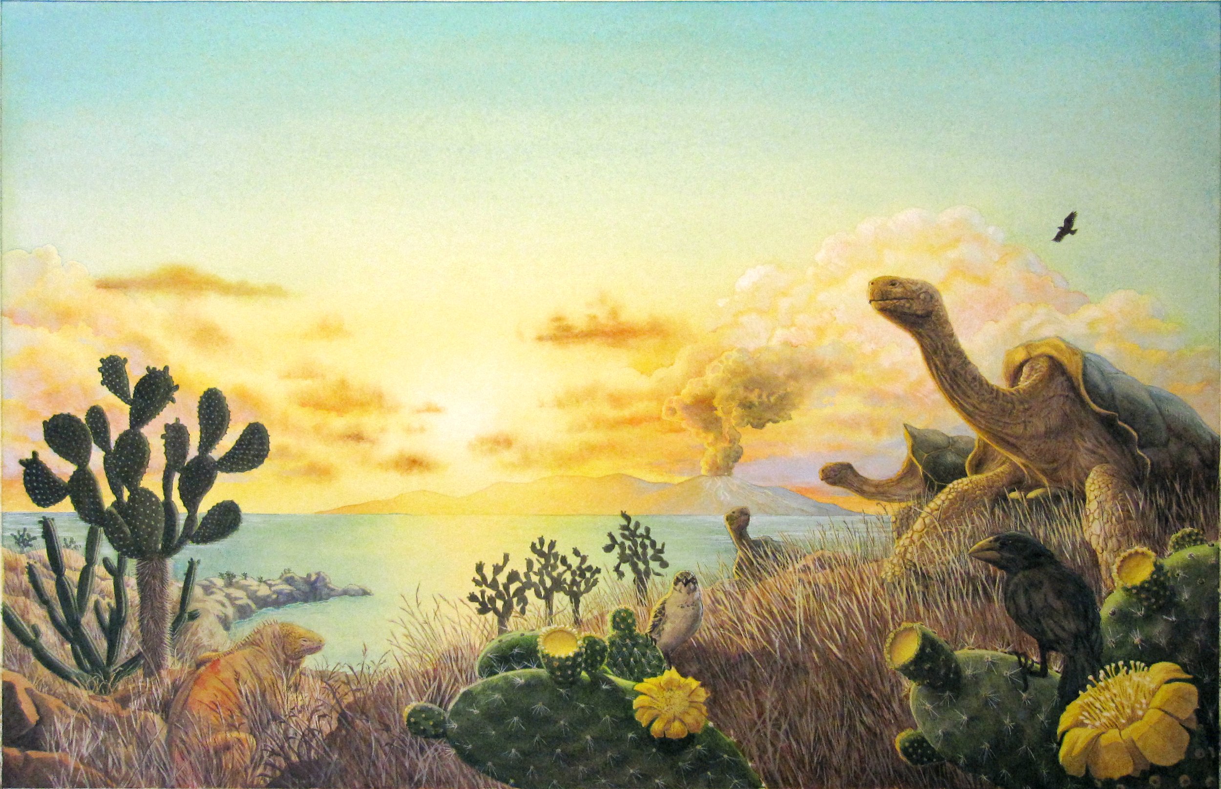Jason Chin; Book Cover Illustration, 2012; Watercolor and gouache; From "Island: A Story of the Galapagos"