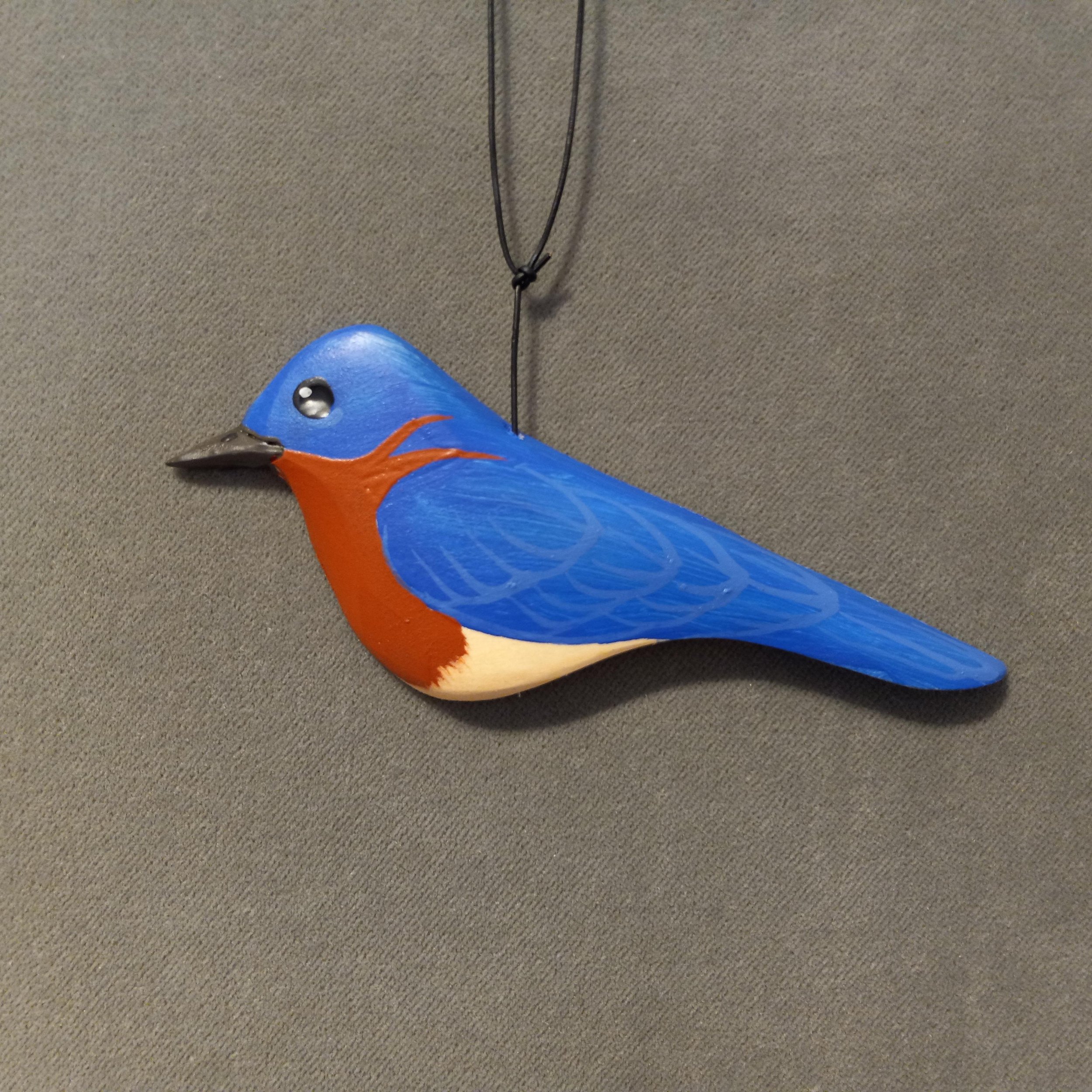 Eastern Bluebird.jpg