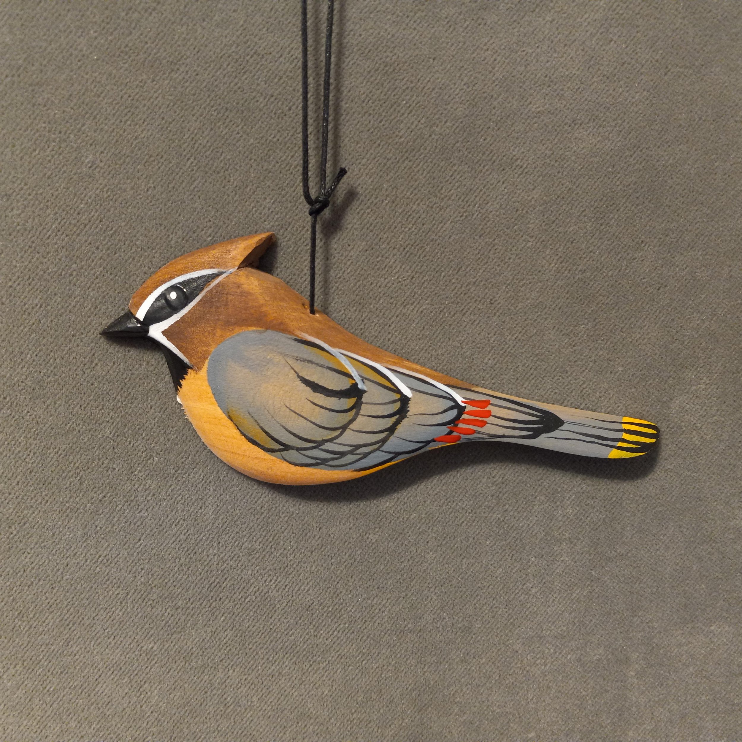Cedar Waxwing.jpg