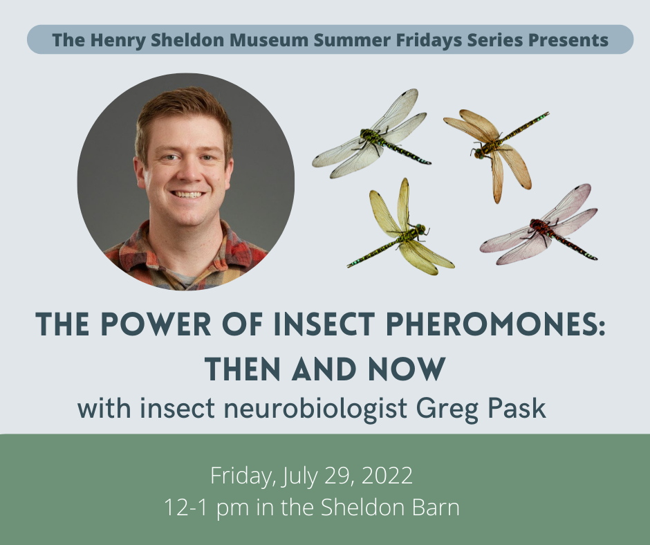 The Power of Insect Pheromones: Then and Now — Henry Sheldon Museum
