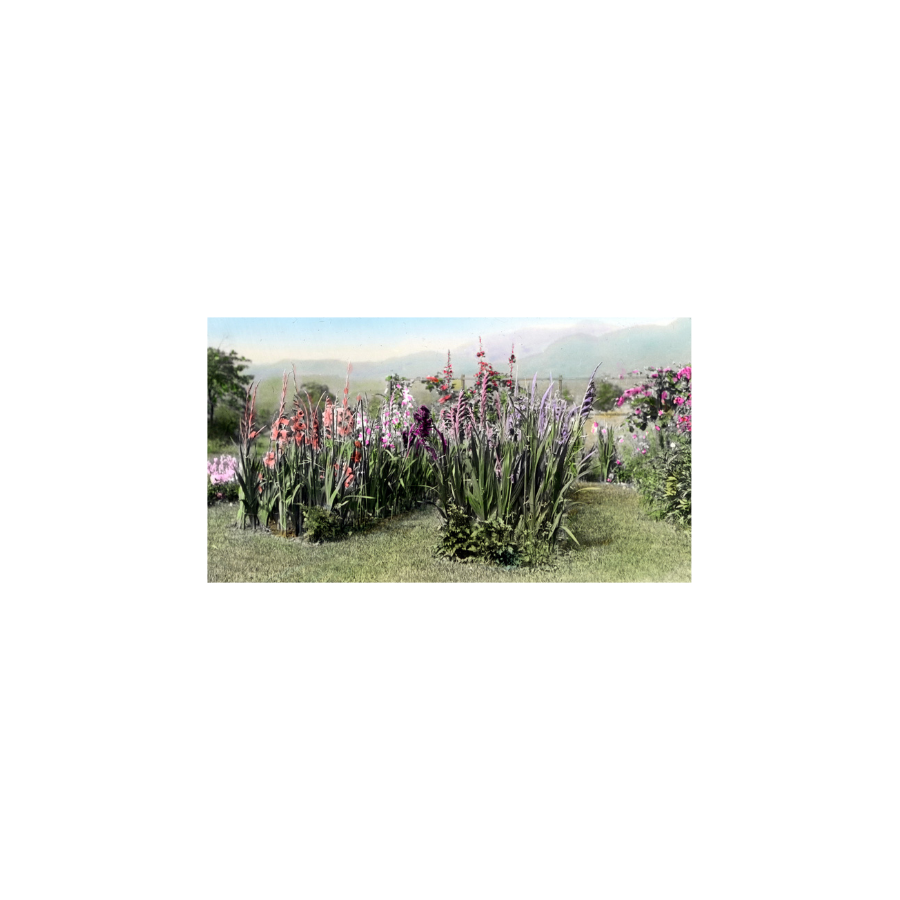 Untitled (3 x 3 in) (30).png