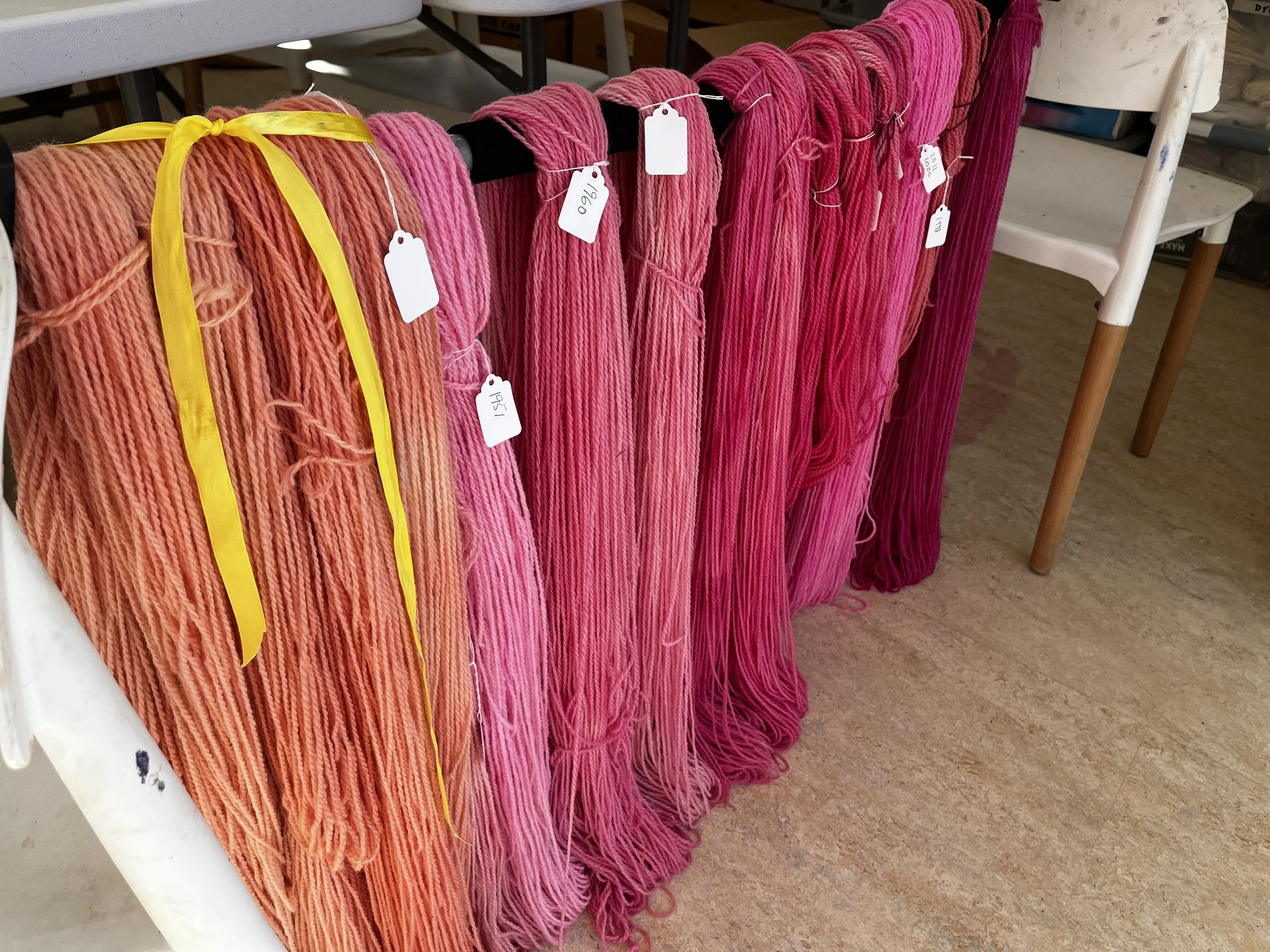 Newly dyed yarn drying -- the warm years! 