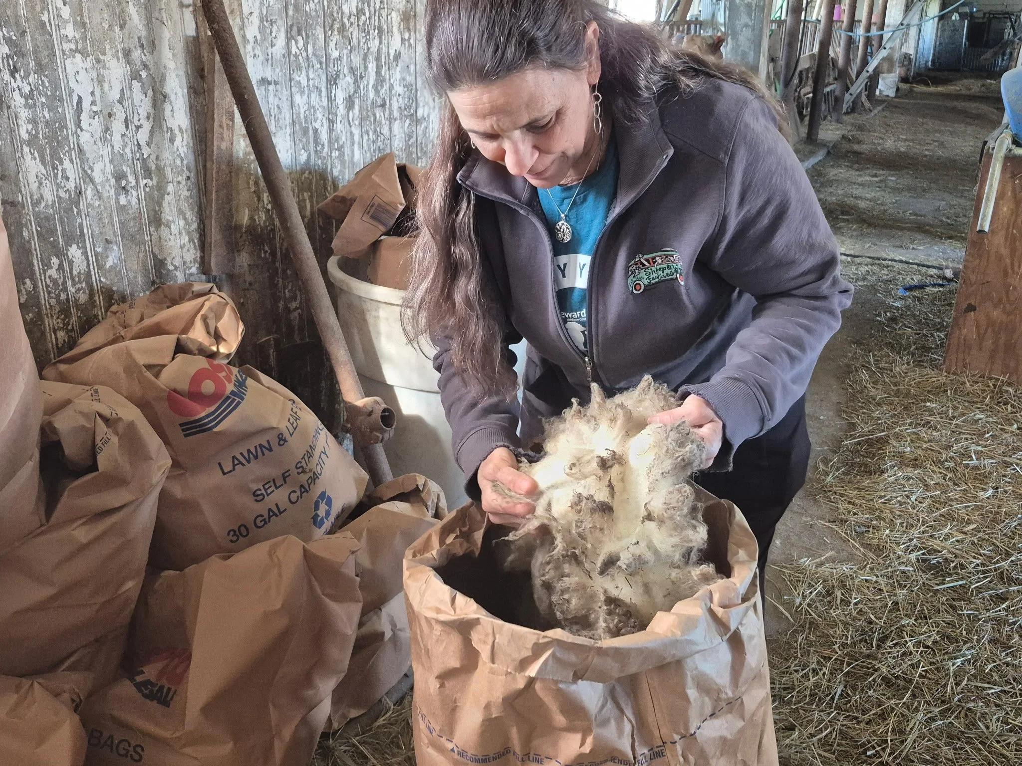 Donna Perrin shares her raw wool at her Creek Road Farm in Middlebury.