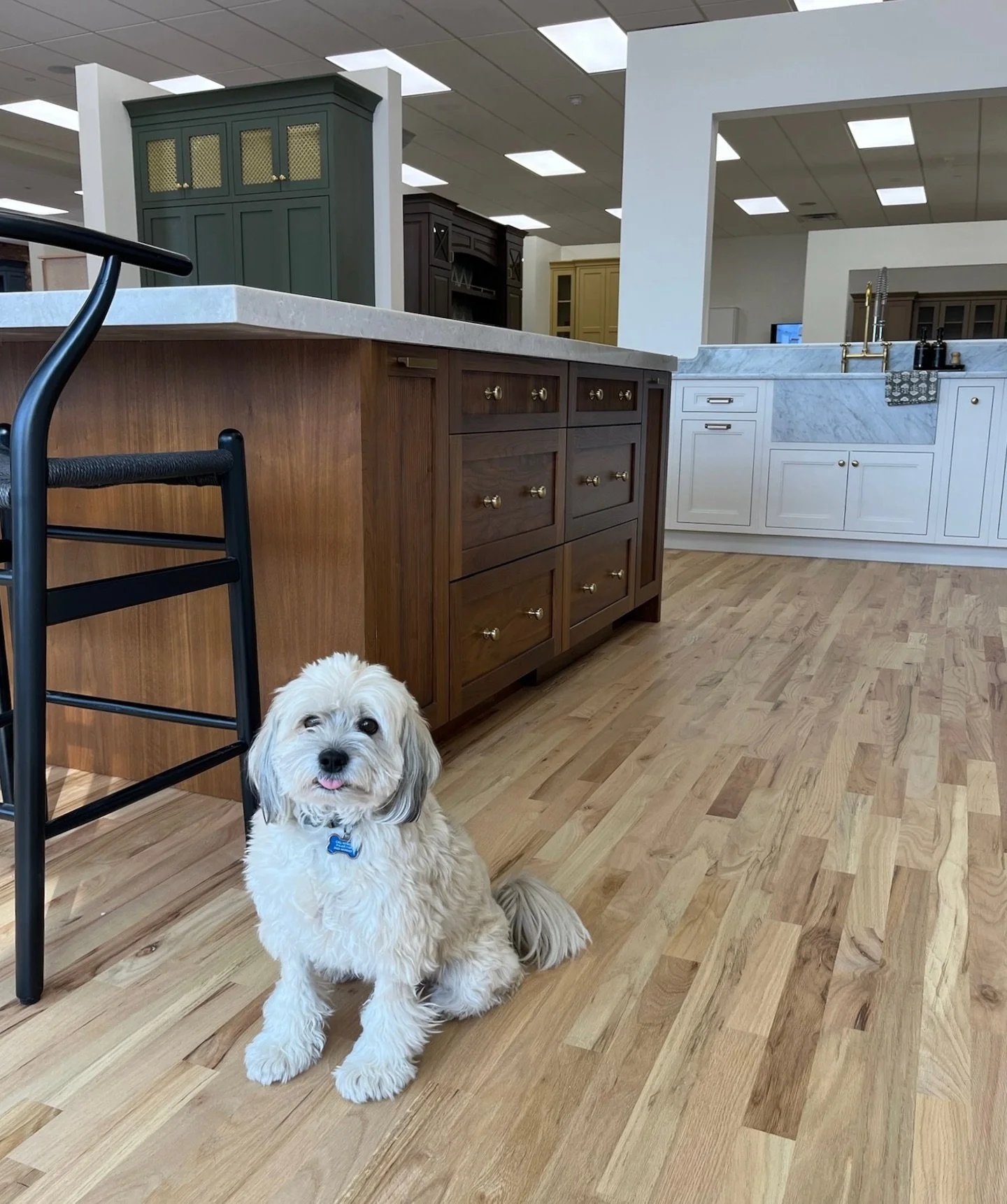 Our furry friend Marco hopes everyone is enjoying a safe, cozy snow day! We look forward to opening our showroom doors tomorrow. Until then, stay warm! ☃️