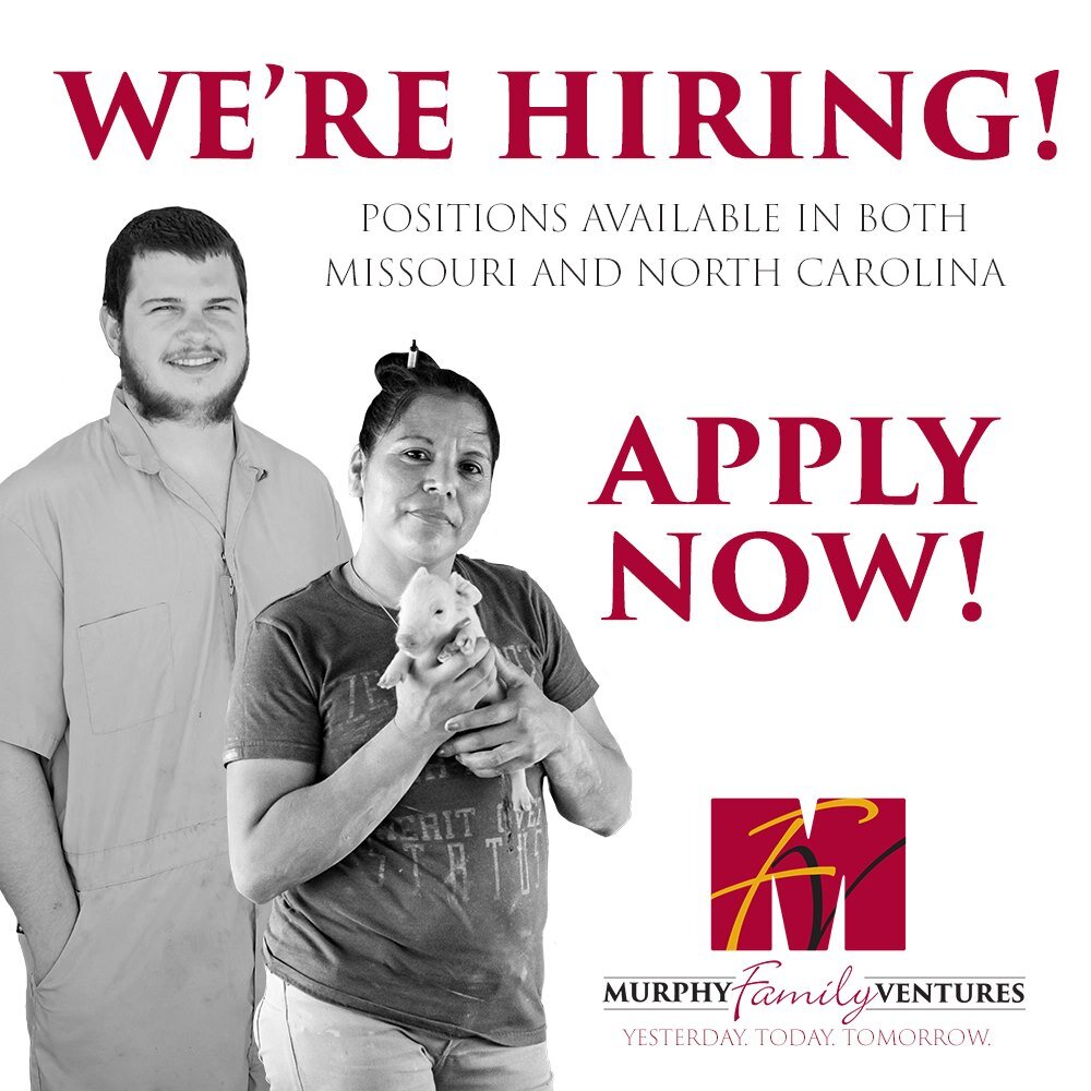 We're hiring! Want a job that appreciates you and offers opportunities for growth? Join the MFV FAMILY today! www.murphyfamilyventures.com/careers

#MurphyFamilyVentures #MFV #WorkHere #WereHiring #JoinOurTeam #EmployeeFamily