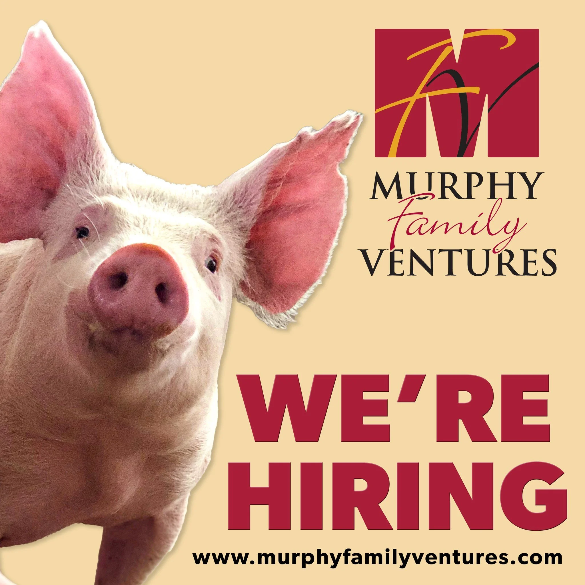 Murphy Family Ventures is hiring for multiple positions in Eastern North Carolina!
We&rsquo;re looking for experienced, dependable individuals to join our team.

Positions Available:
🐷 Swine Finishing Farm Herd Technician
&bull; Experience working o