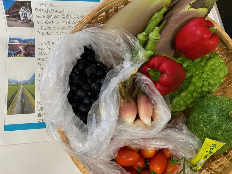 『まほろば』からのお便り