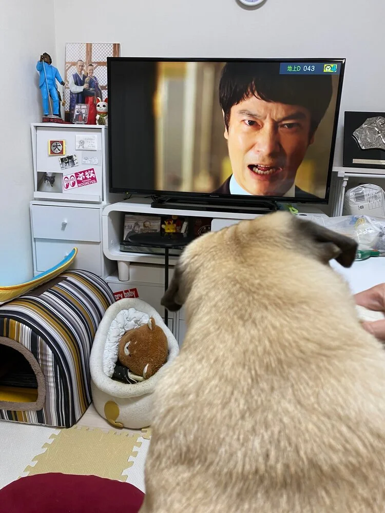 Spotifyでも長生きこそがロックンロールだ