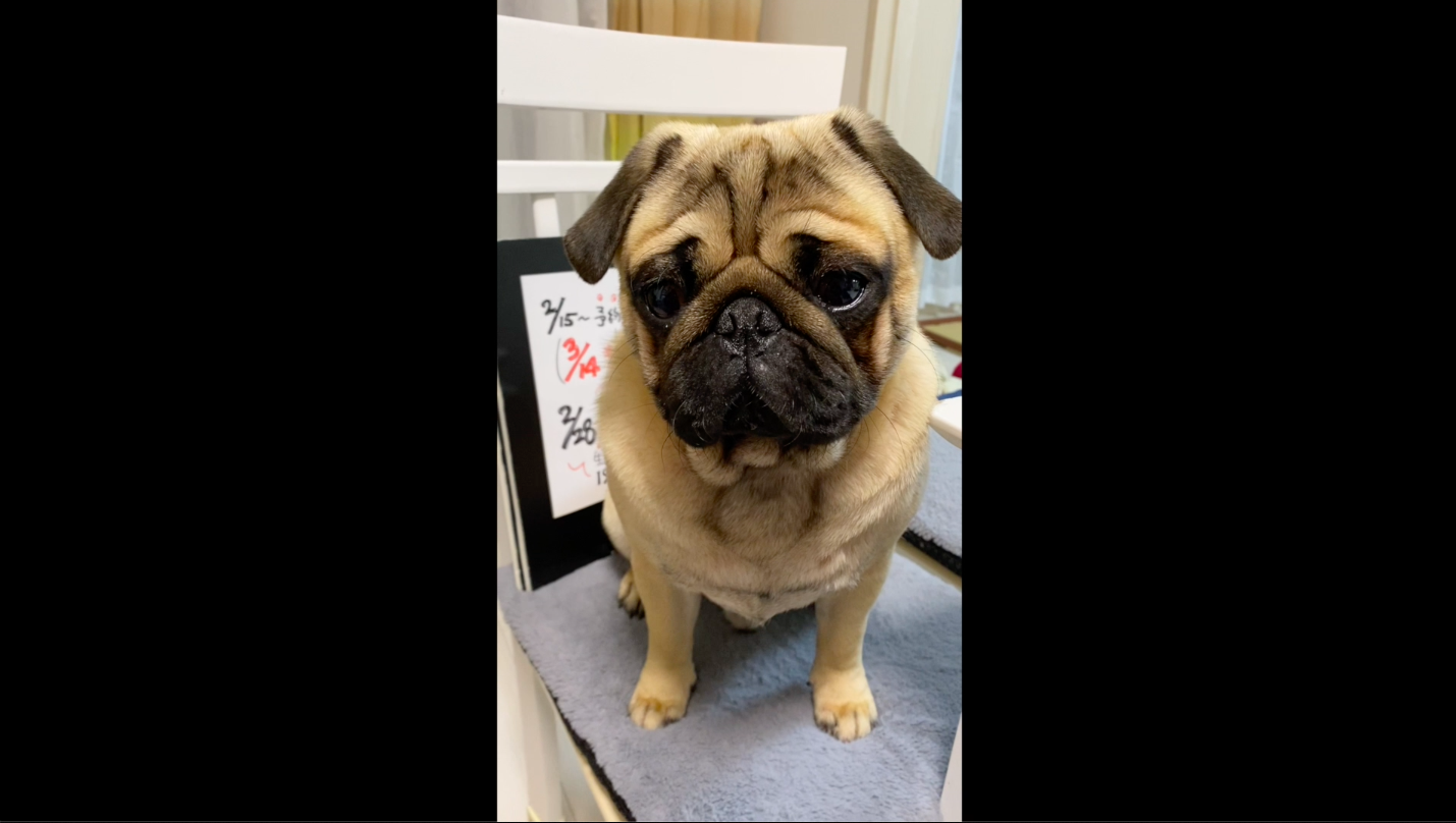 2月のユカリメッセージ（2021/2/1）