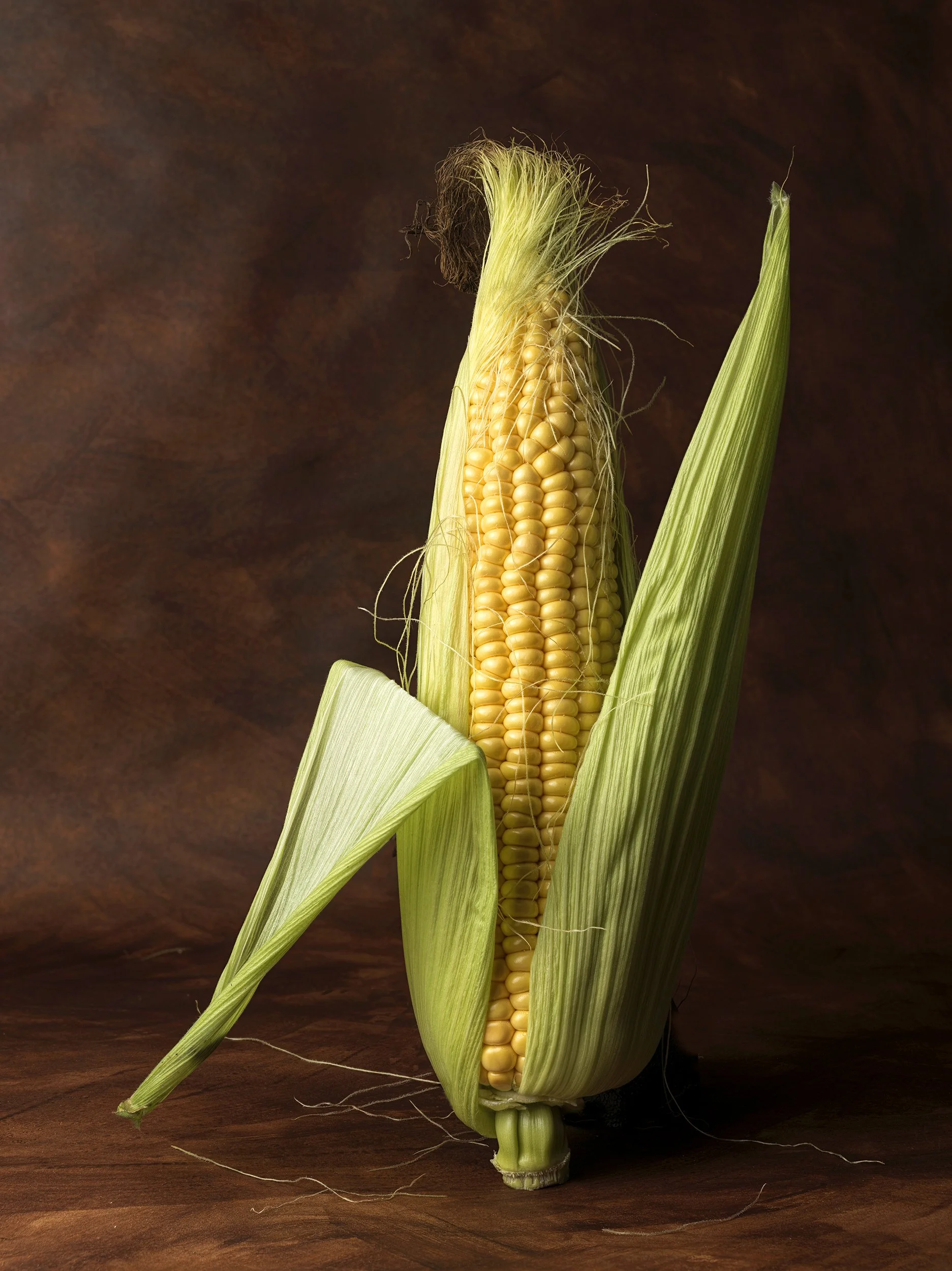 david_pearce_studio_corn on the cob.jpg