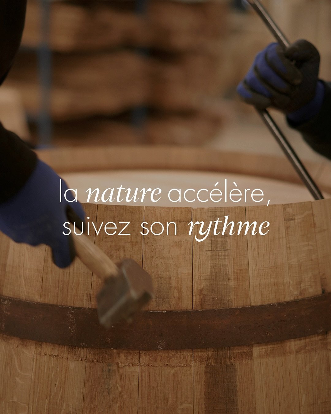 Cette ann&eacute;e, la vigne a pris de l&rsquo;avance.
Chez Cavin, nous nous adaptons au rythme de la nature pour garantir la disponibilit&eacute; et la qualit&eacute; de vos barriques.
Anticipez d&egrave;s maintenant vos besoins pour &ecirc;tre pr&e