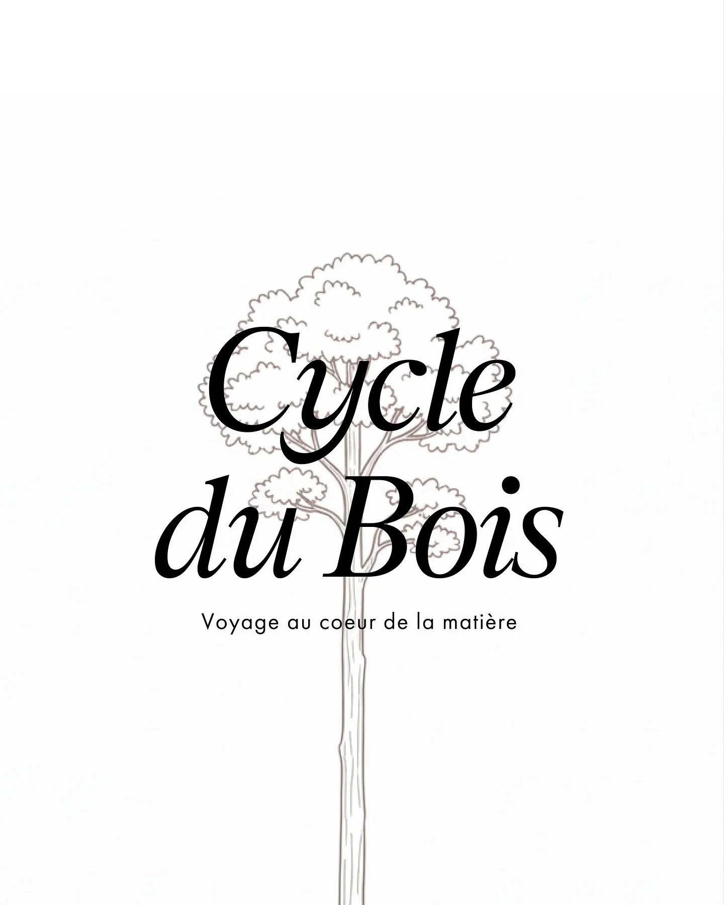 Chez Cavin, chaque f&ucirc;t est une histoire de temps.
Deux si&egrave;cles s&rsquo;&eacute;coulent entre la graine et le f&ucirc;t achev&eacute;.

200 ans pour qu&rsquo;un ch&ecirc;ne atteigne sa maturit&eacute;. 1 hiver pour la coupe, quand la s&eg