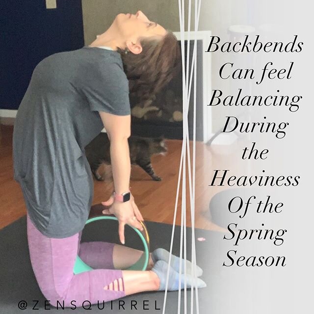 Spring is associated with kapha dosha (earth &amp; water elements) &amp; is seated in the lungs. To balance the stagnation of the season, backbends are perfect. Here I&rsquo;m using a yoga wheel in camel pose to remind me to engage my core from the l