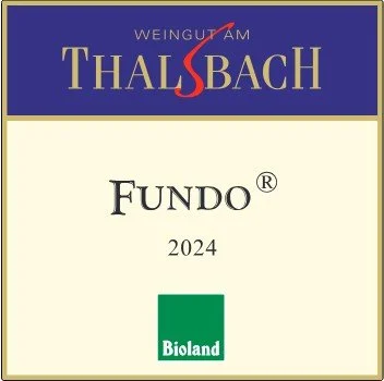 Fundo24.jpg