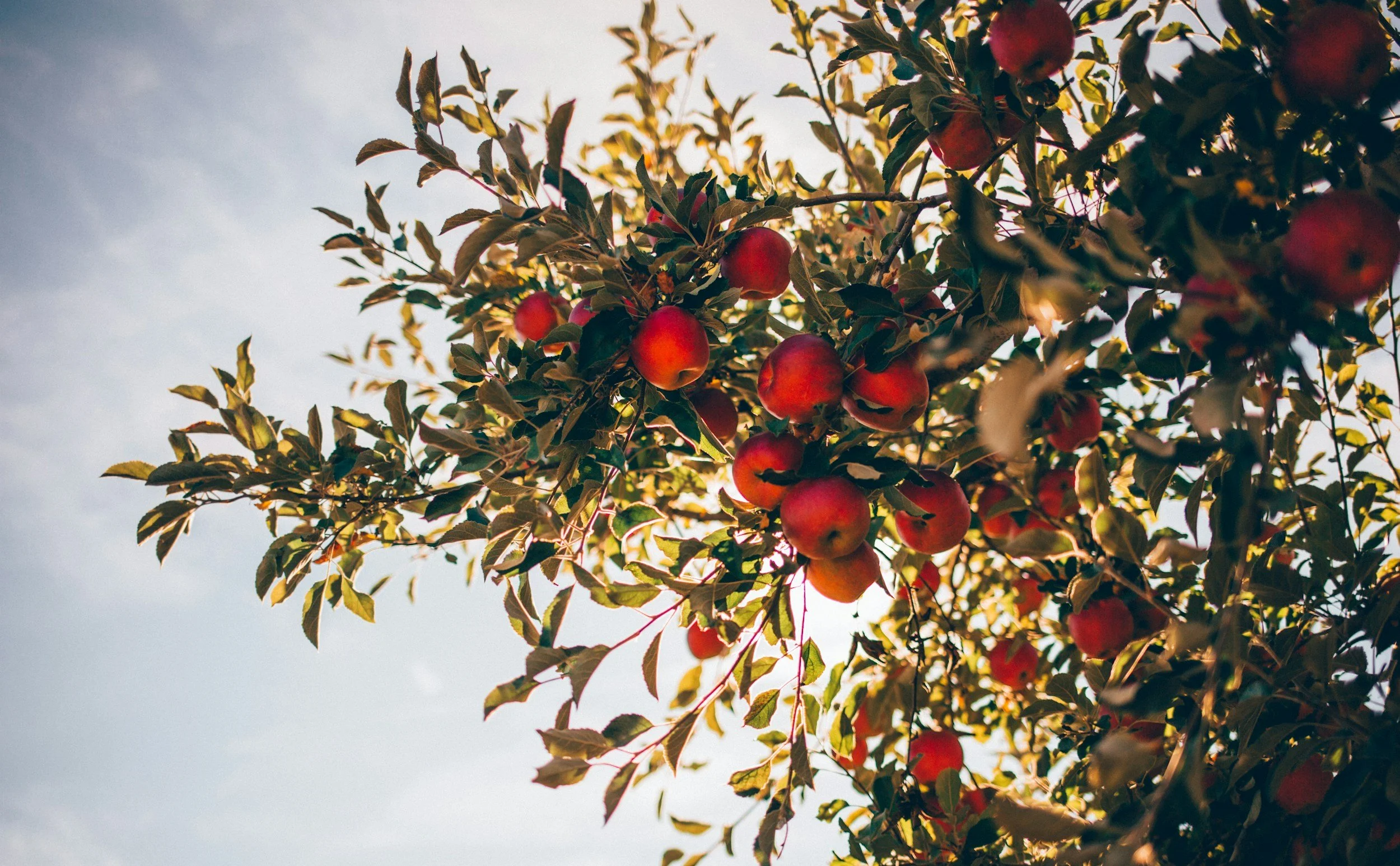 unsplash-image-zXQFq-KDNFs.jpg