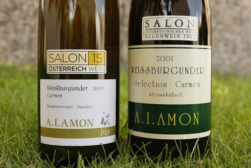 SALON Österreich Wein 2015 aus dem Hause Amon!