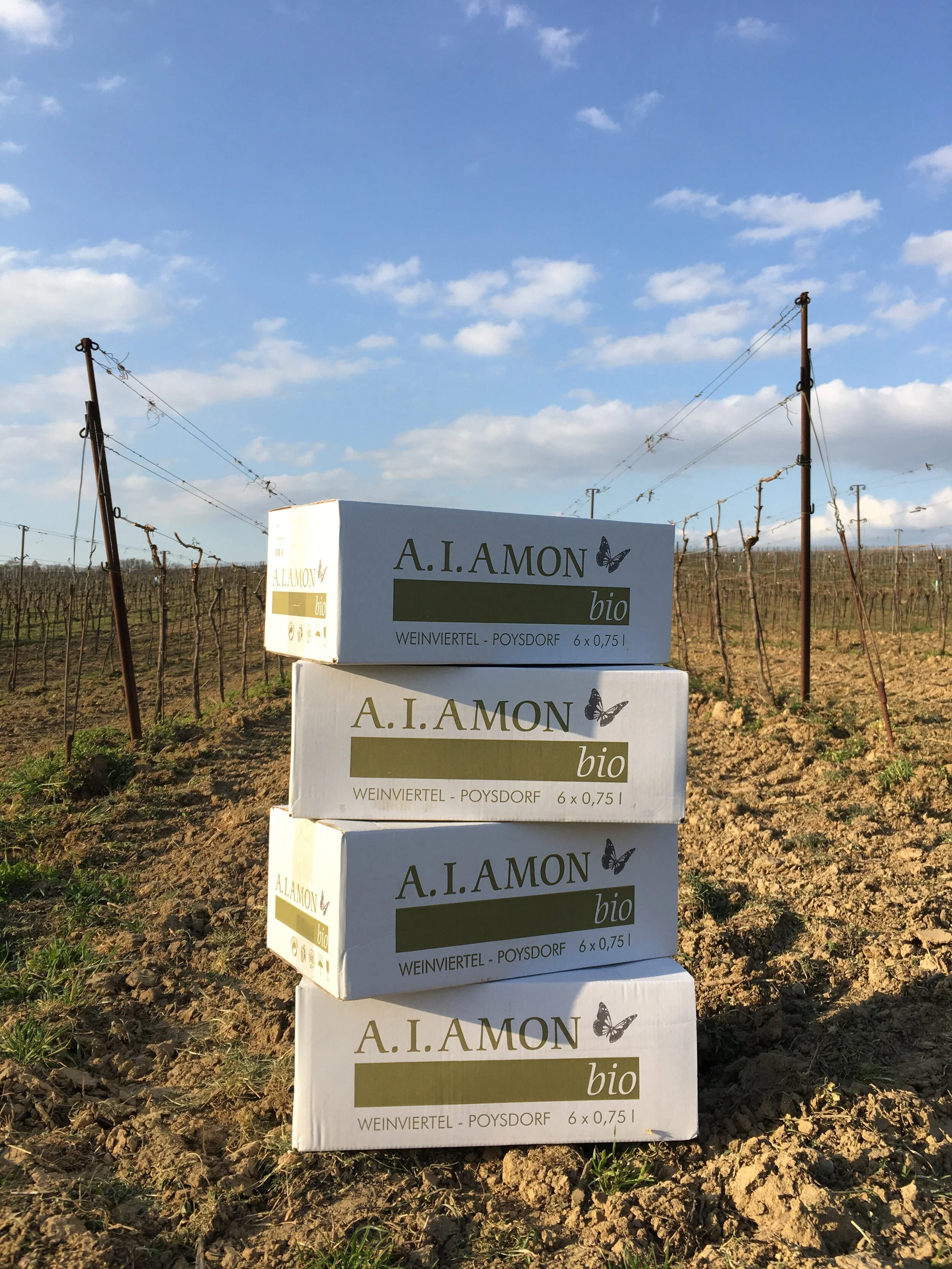 Keine Versandkosten ab 12 Flaschen!