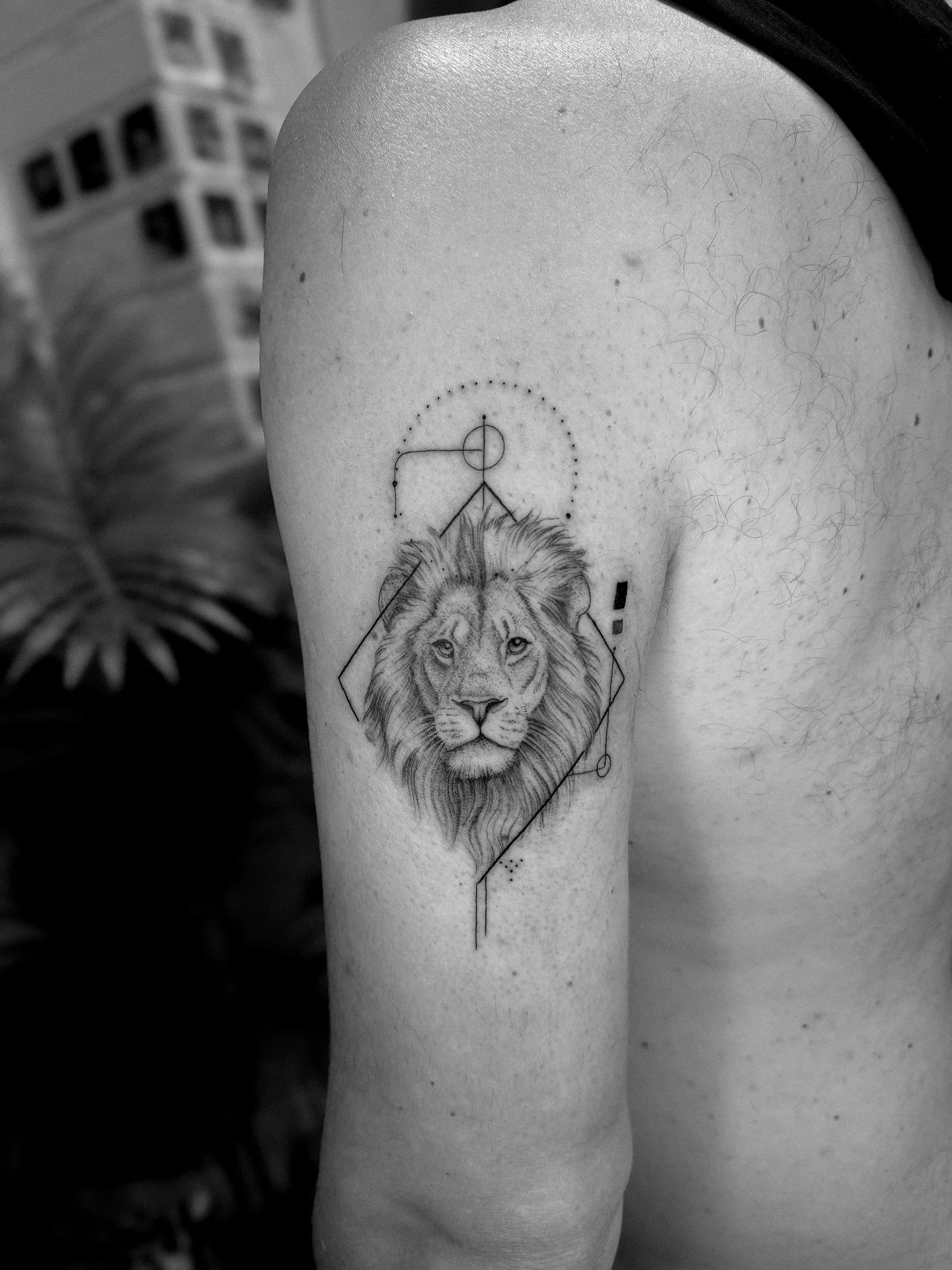 Lion done the other day for Dan 
&bull;
&bull;
&bull;
&bull;
&bull;
#tattoo #tattoos #tattooing #liontattoos #lion #tattooideas #fineline #finelinetattoo #leamingtonspa #loveleam