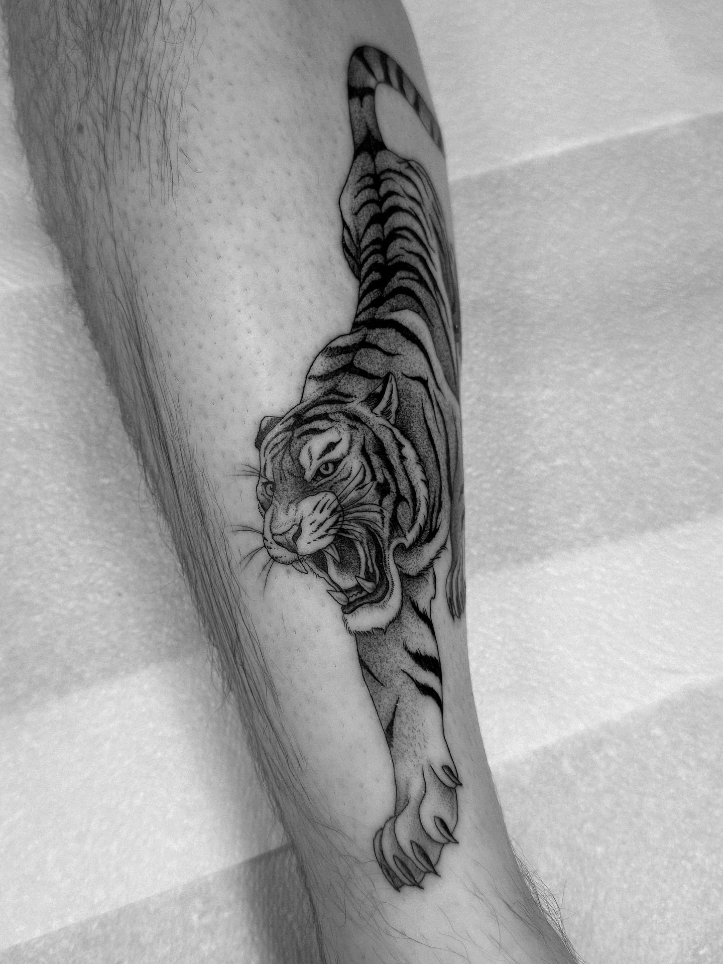 🐅 &bull; Tiger for Declan 
&bull;
&bull;
&bull;
&bull;
&bull;
#tattoo #tattoos #tattooing #tattooartist #tattooer #tiger #tigertattoo #finelinetattoo #tattooart #leamingtonspa #loveleam